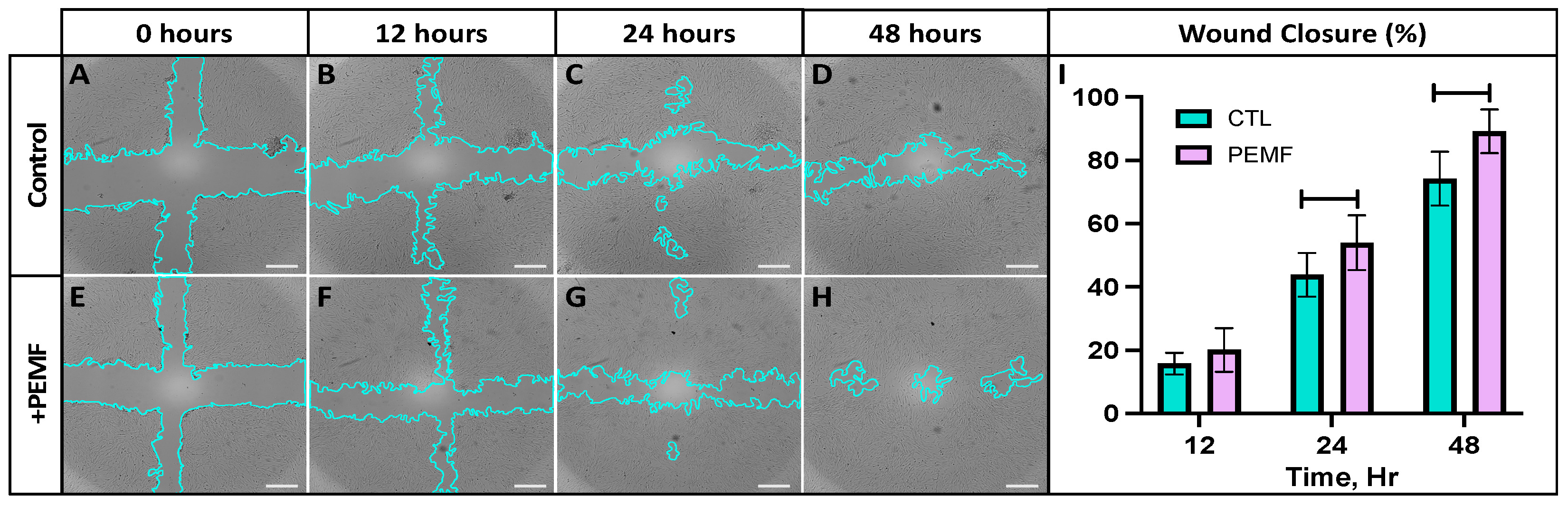 Applsci 12 12406 g005 Applsci 12 12406 g005