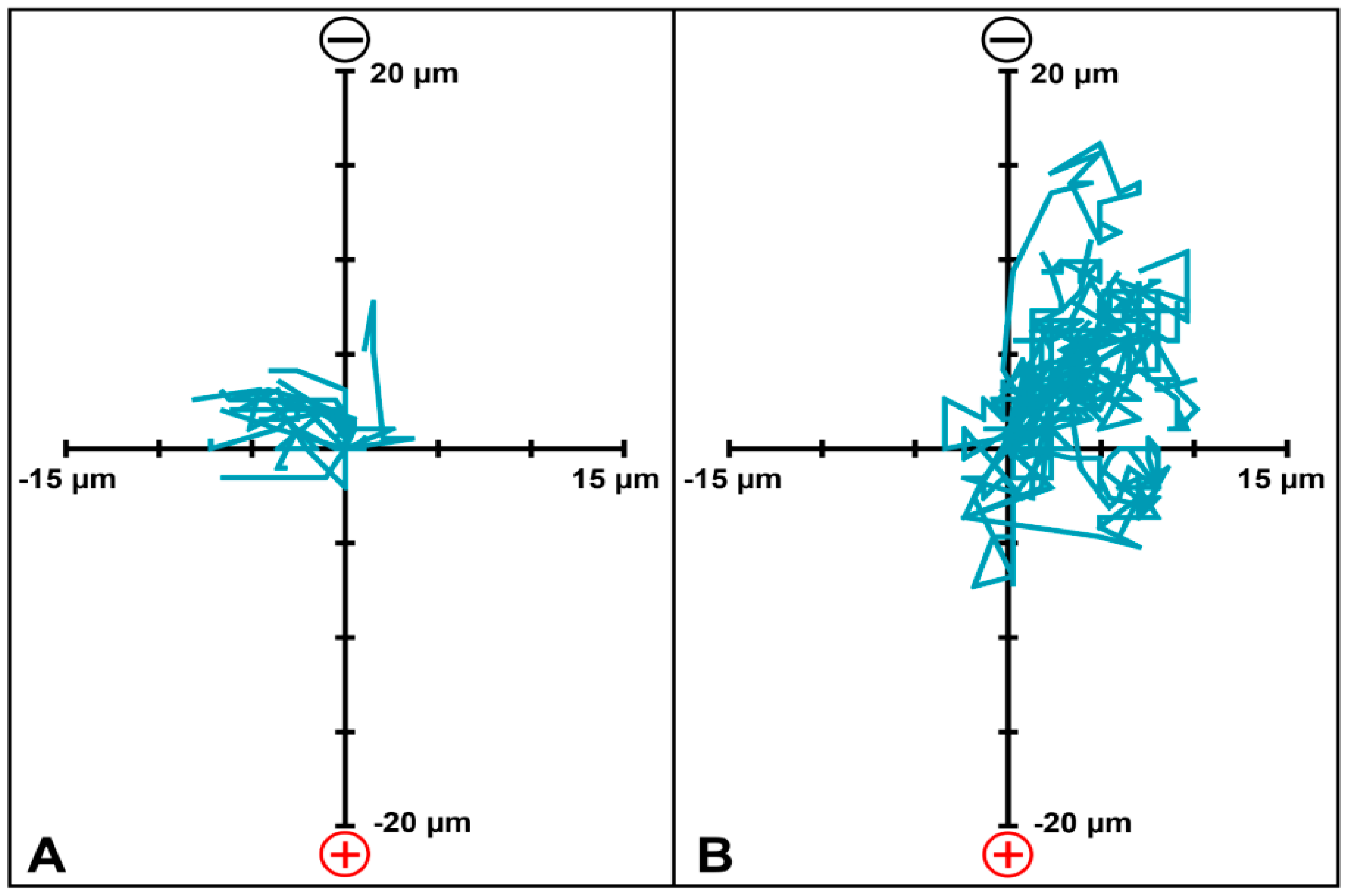 Applsci 12 12406 g007 Applsci 12 12406 g007
