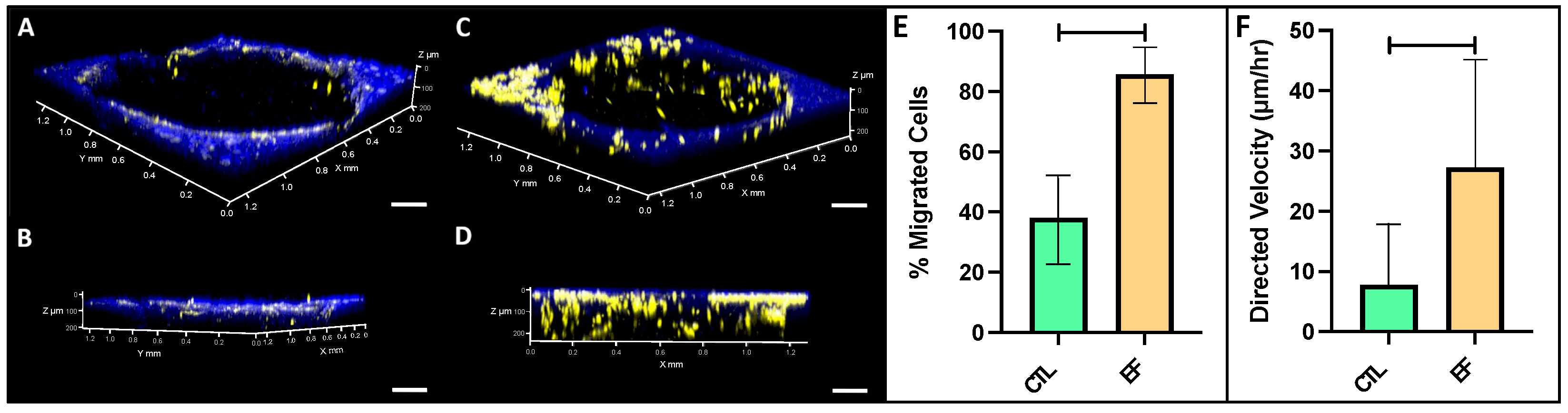 Applsci 12 12406 g008 Applsci 12 12406 g008