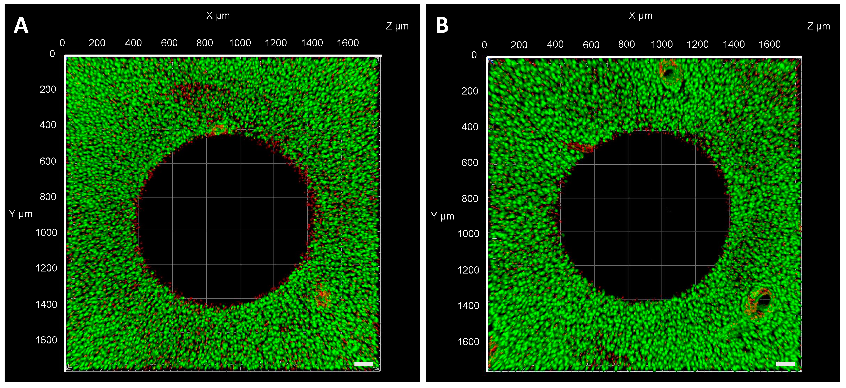 Applsci 12 12406 g009 Applsci 12 12406 g009