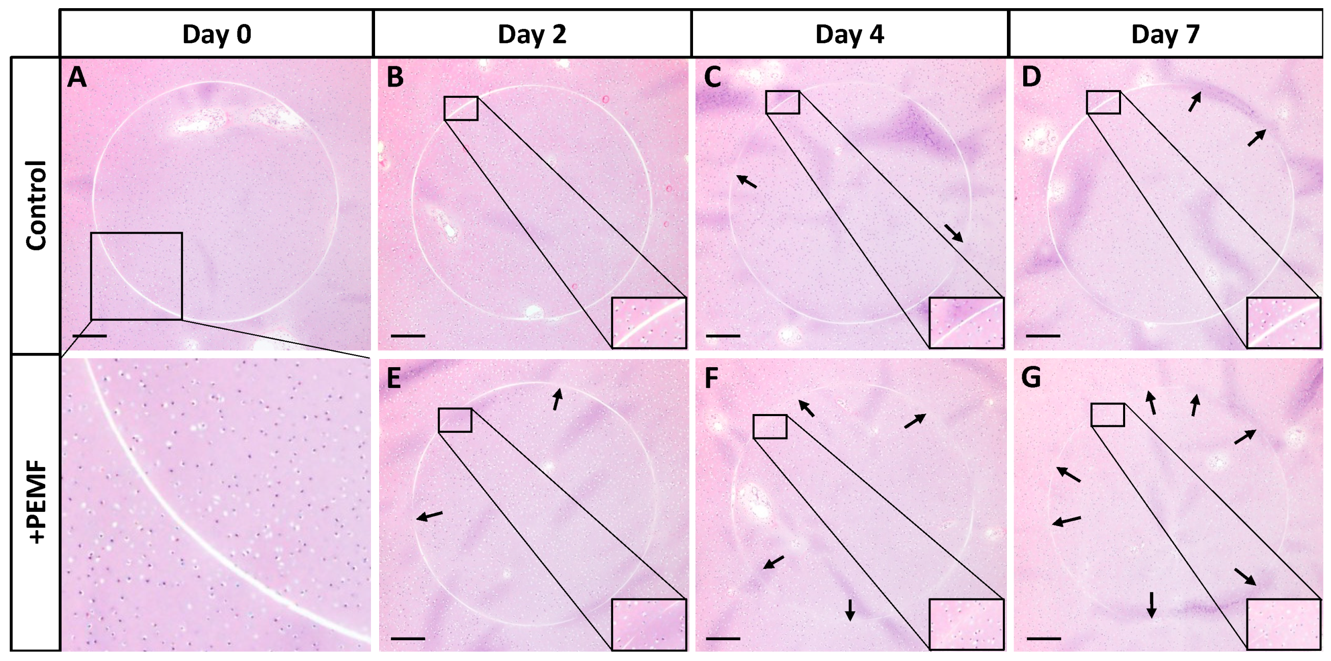 Applsci 12 12406 g011 Applsci 12 12406 g011