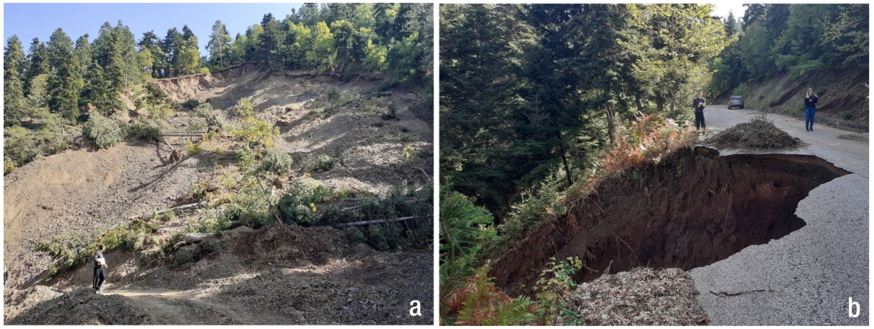 Applsci 12 12443 g007