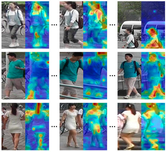 Activation Visualisation An Adaptive Partitioning and Multi-Granularity Network for Video-Based ...