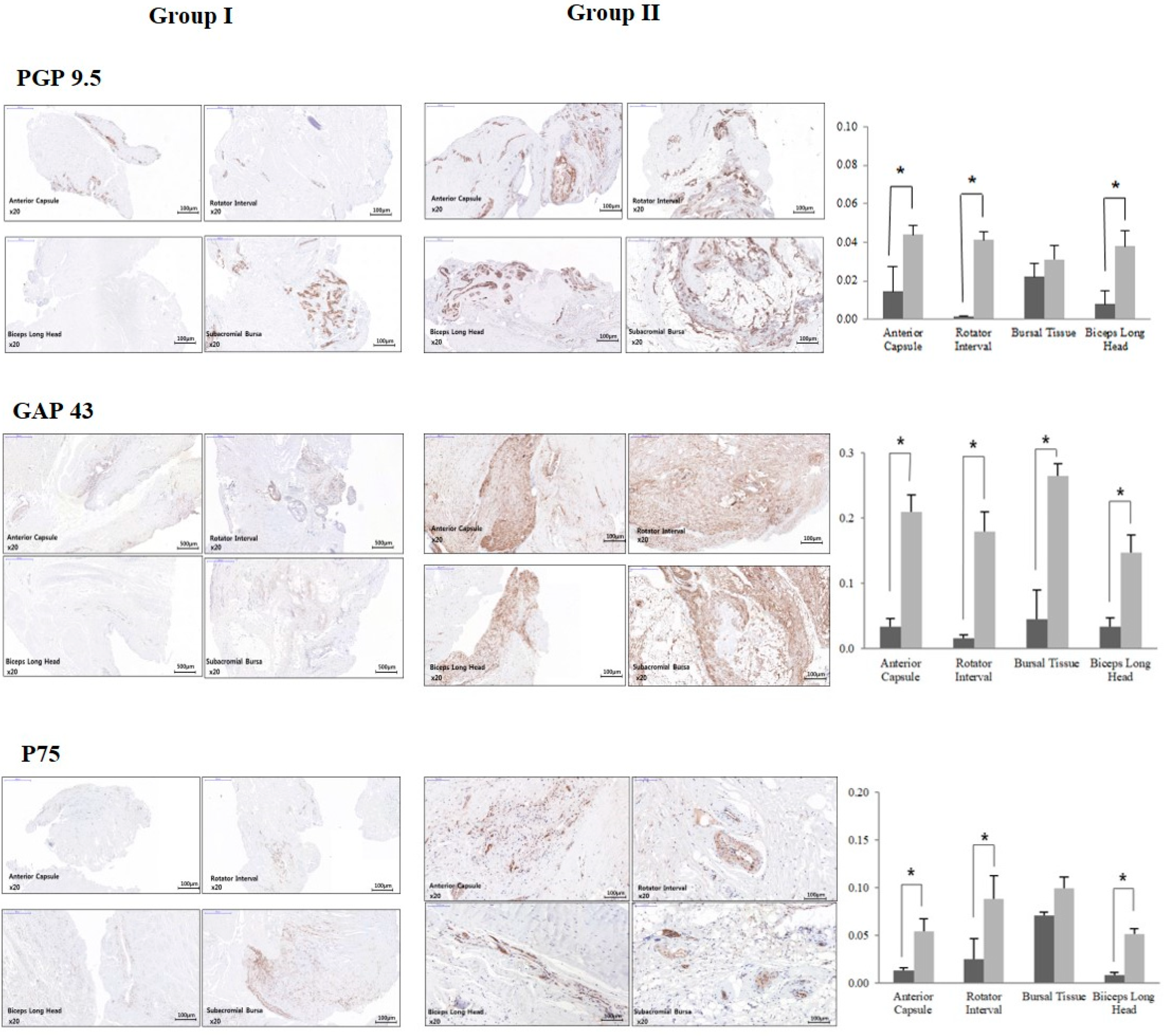 Applsci 12 12513 g002