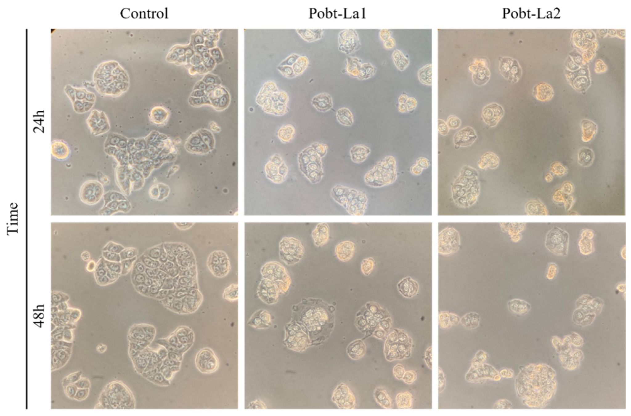 Applsci 12 12519 g002