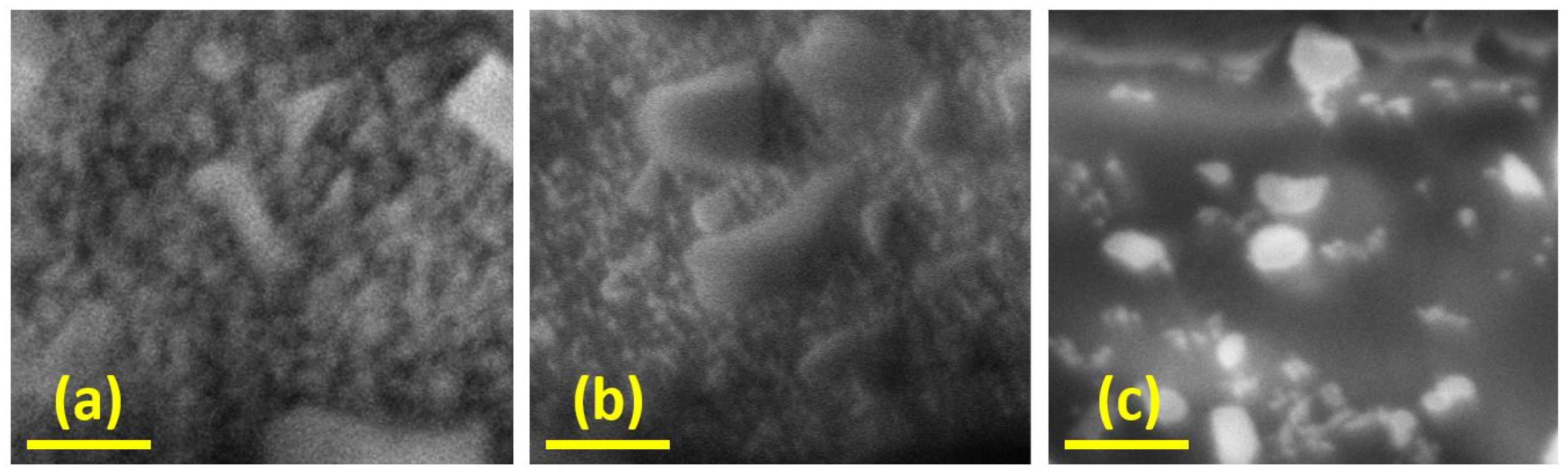 Applsci 12 12538 g004 Applsci 12 12538 g004