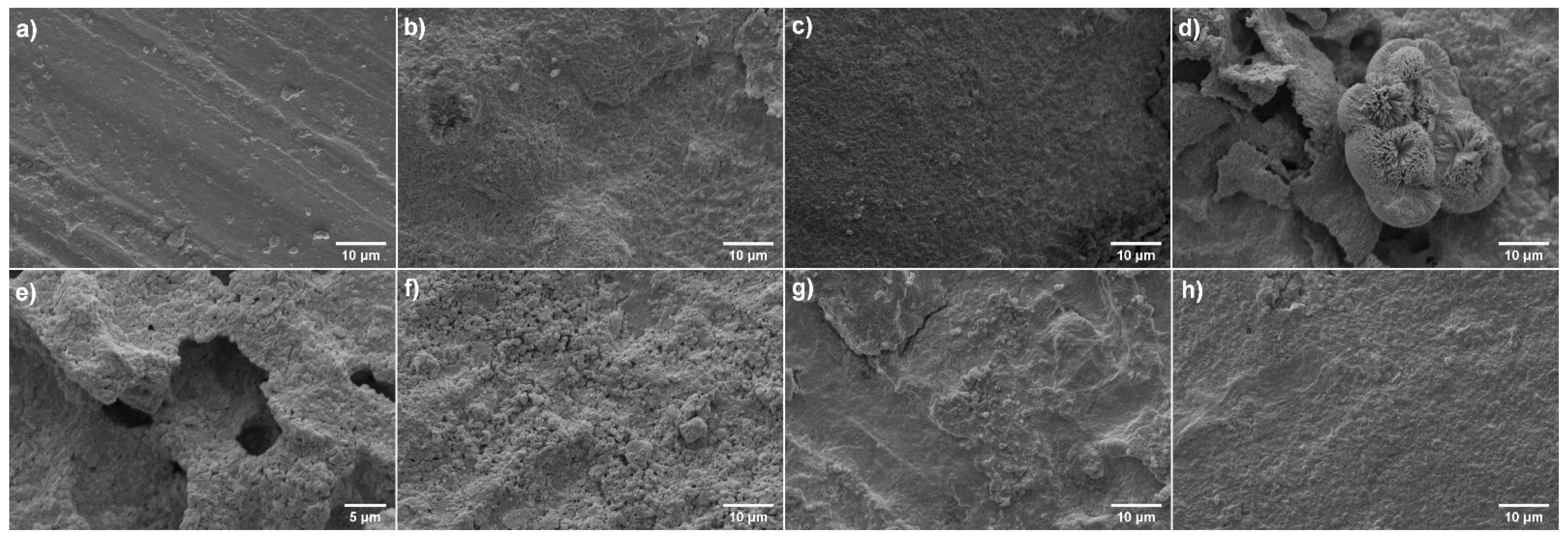 Applsci 12 12540 g004