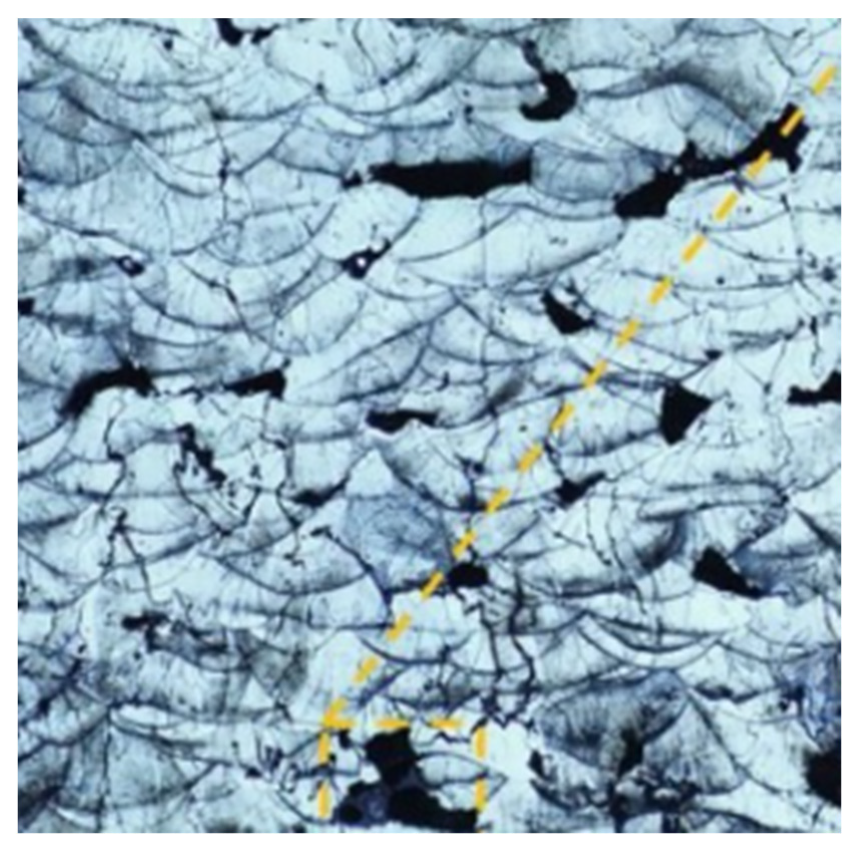 Applsci 12 12571 g009