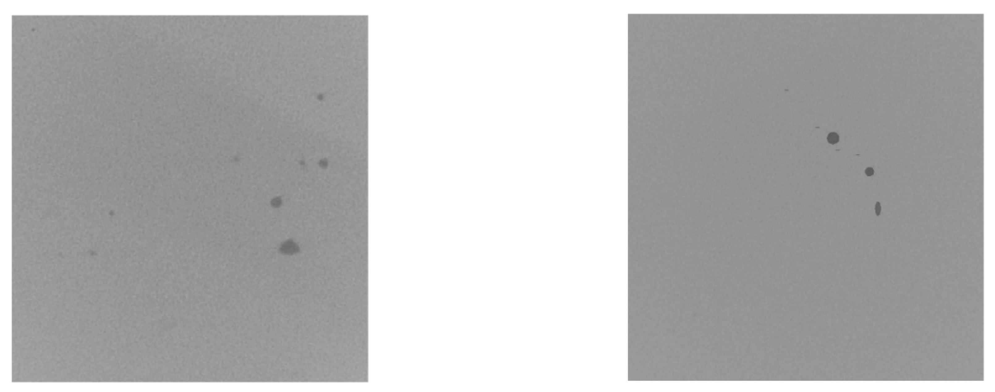 Applsci 12 12571 g019