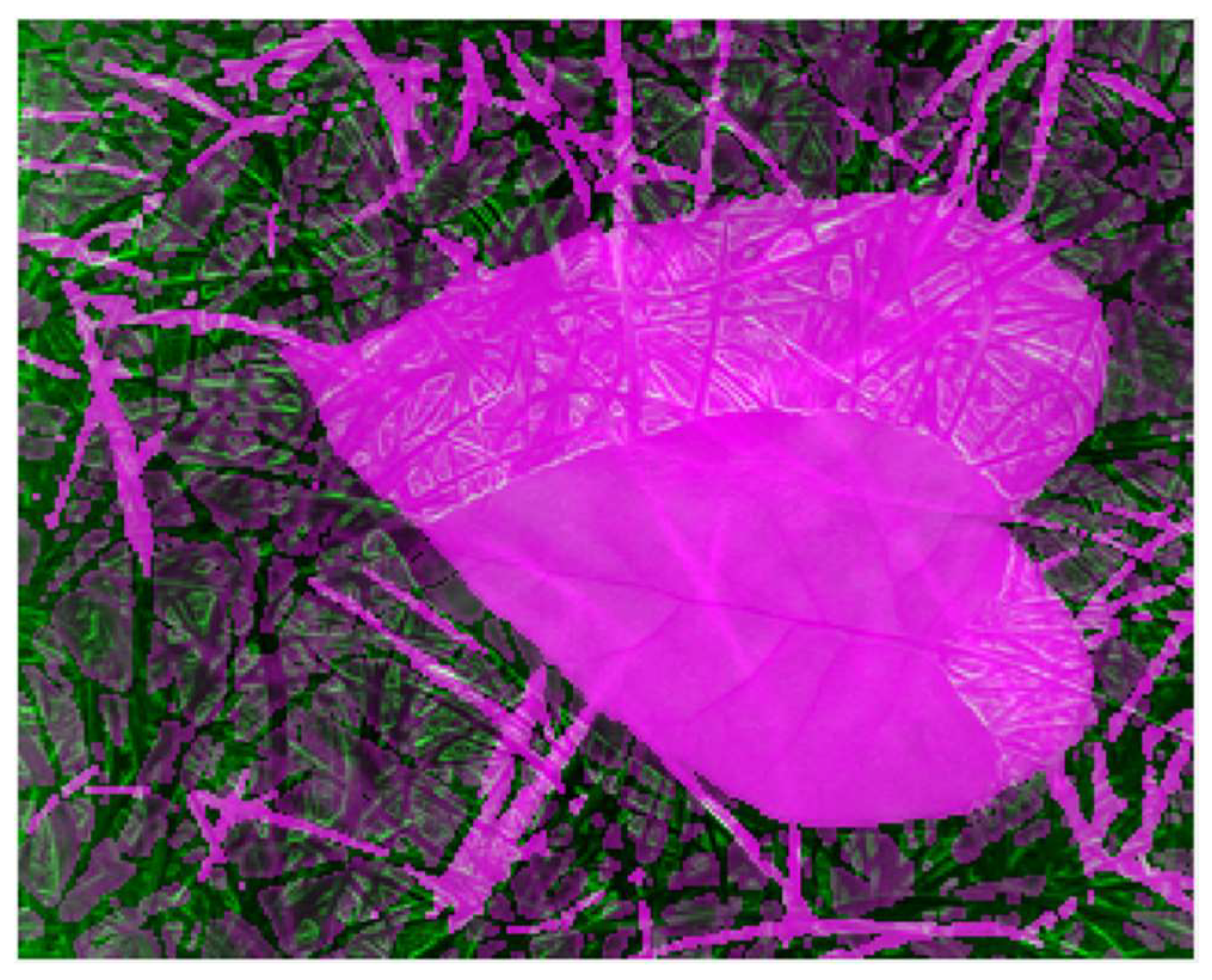 Applsci 12 12596 g007