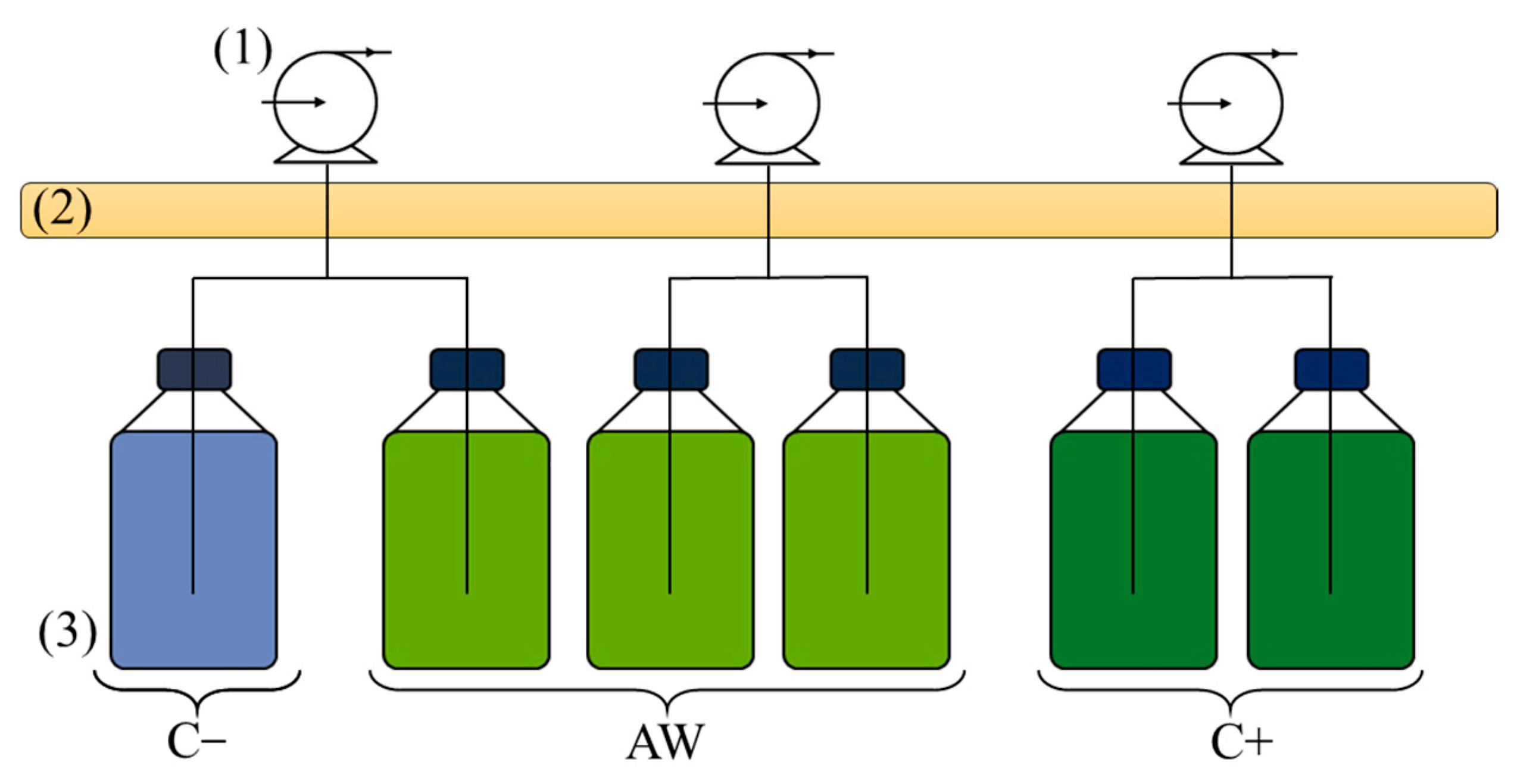 Applsci 12 12608 g001