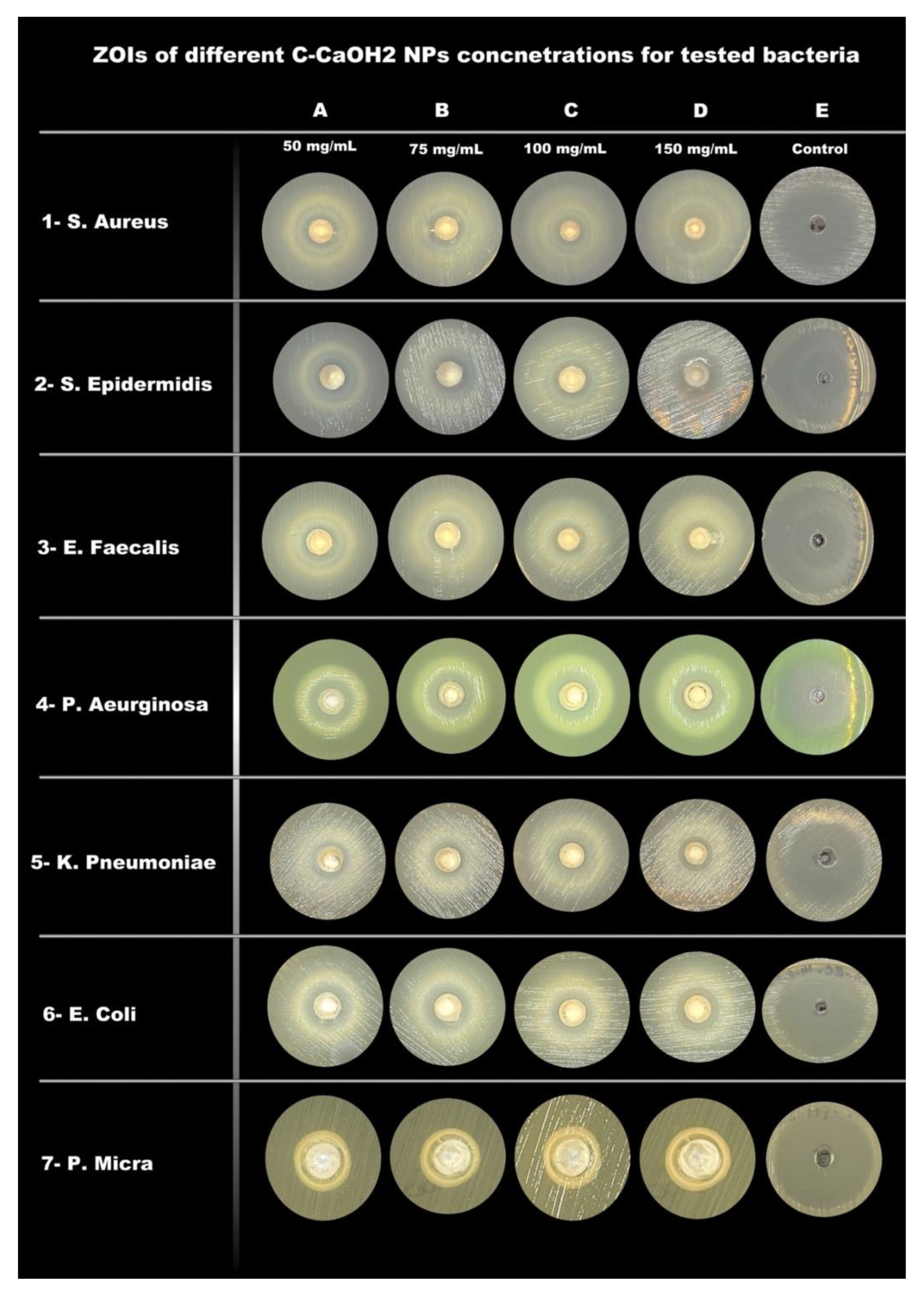 Applsci 12 12624 g001 Applsci 12 12624 g001