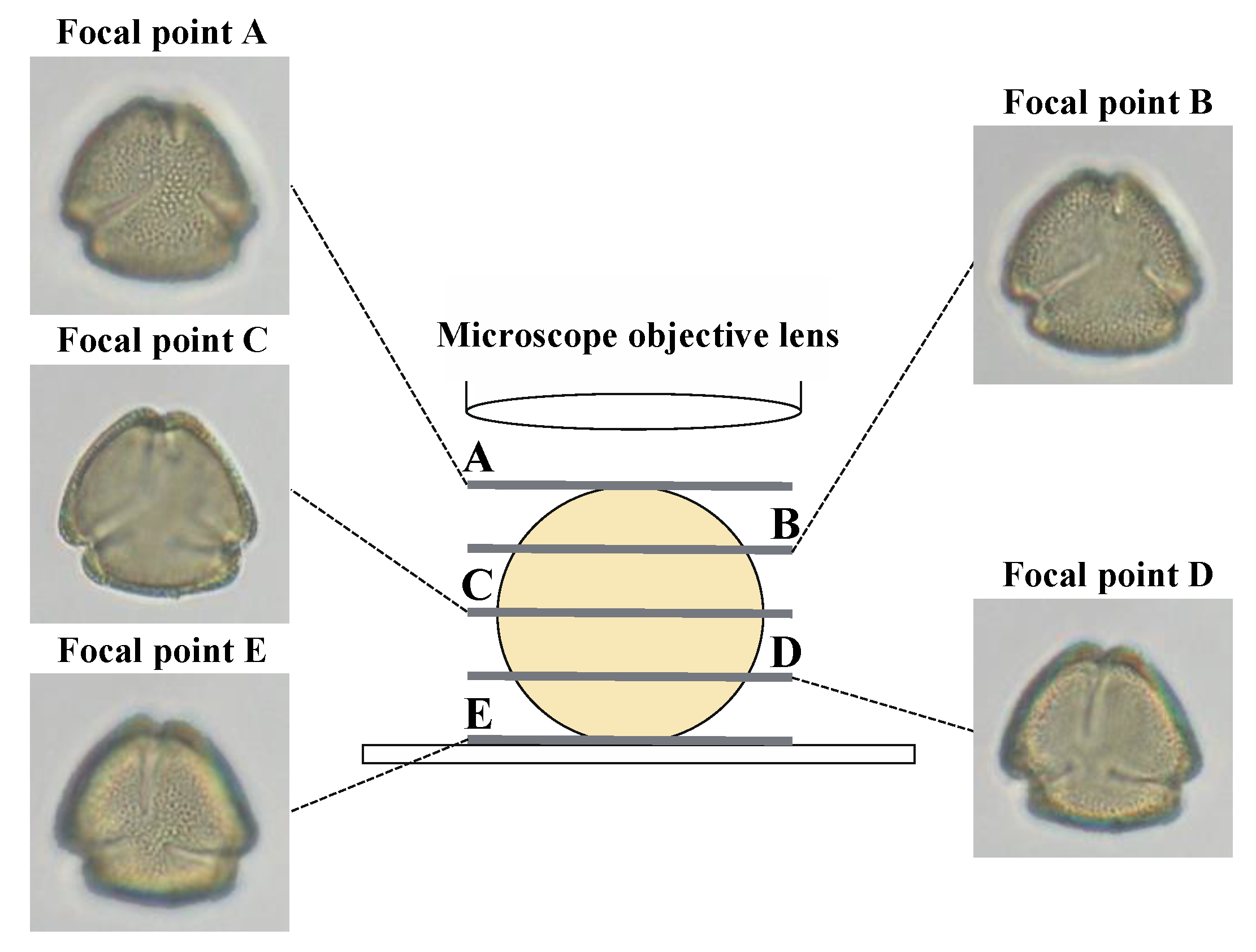 Applsci 12 12626 g002