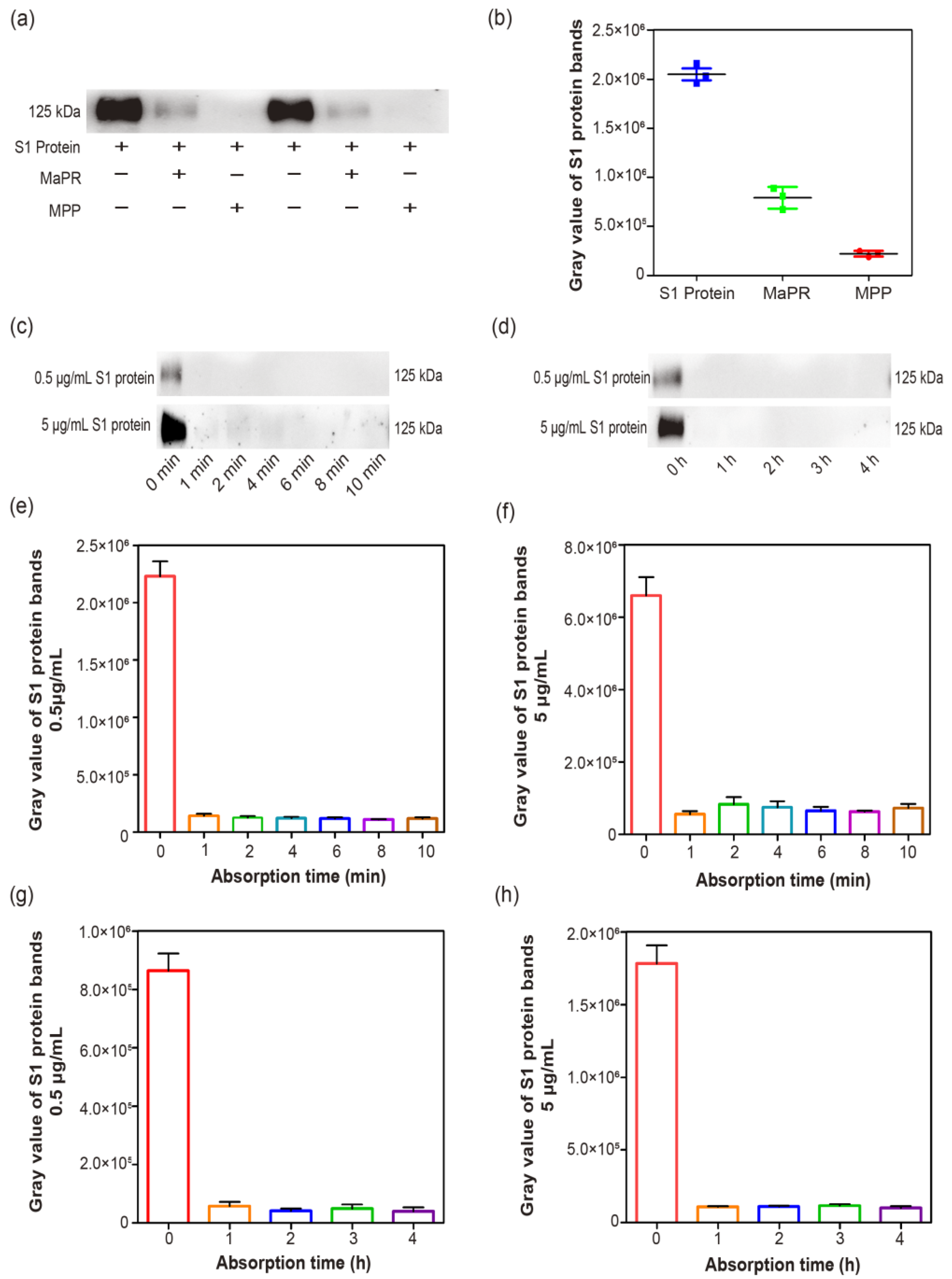 Applsci 12 12628 g003 Applsci 12 12628 g003