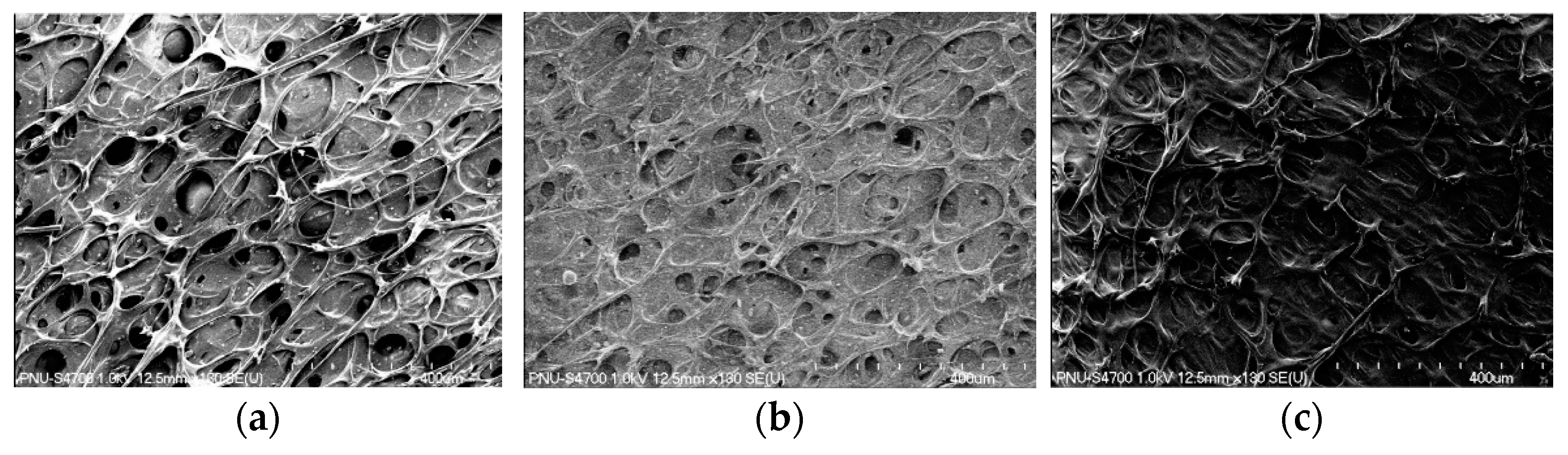 Applsci 12 12663 g006