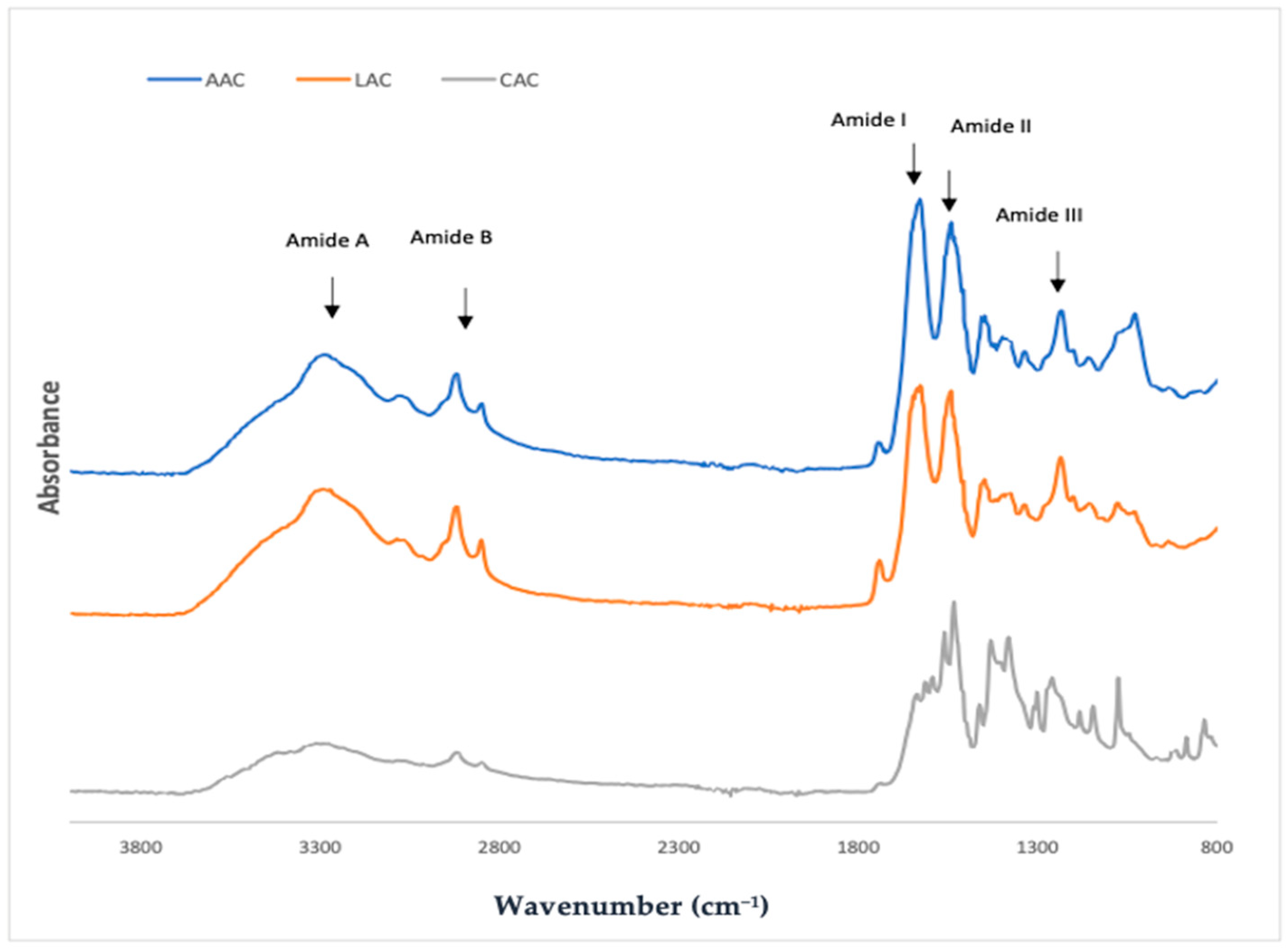 Applsci 12 12695 g002 Applsci 12 12695 g002