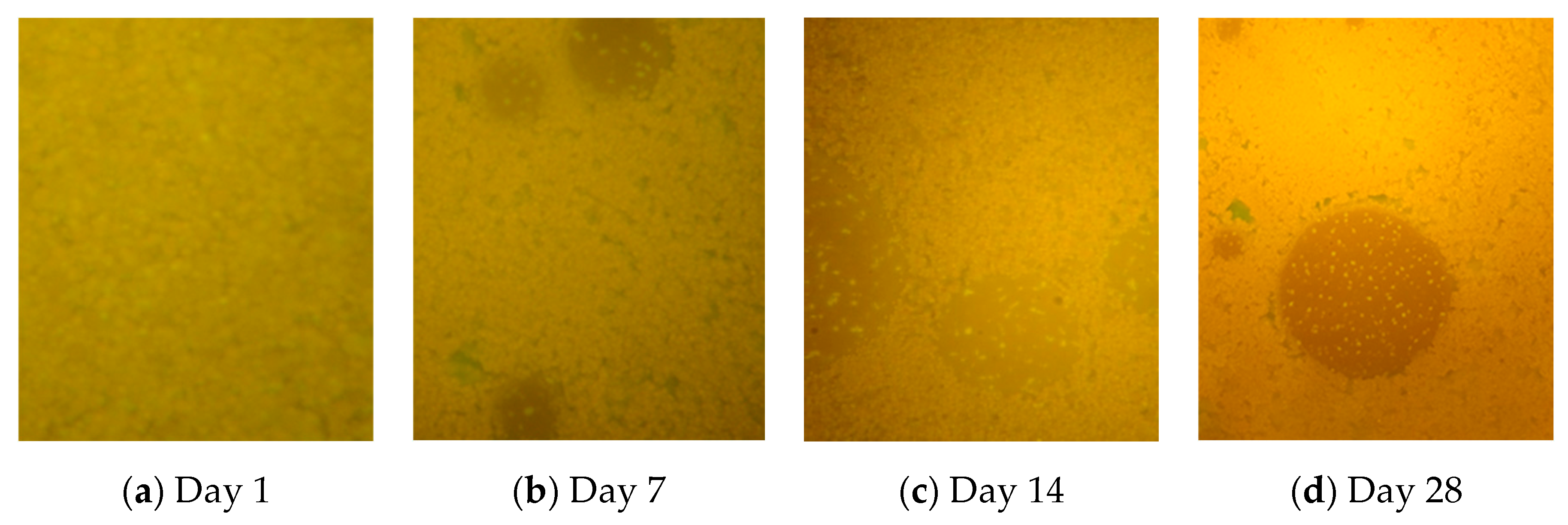 Applsci 12 12730 g012