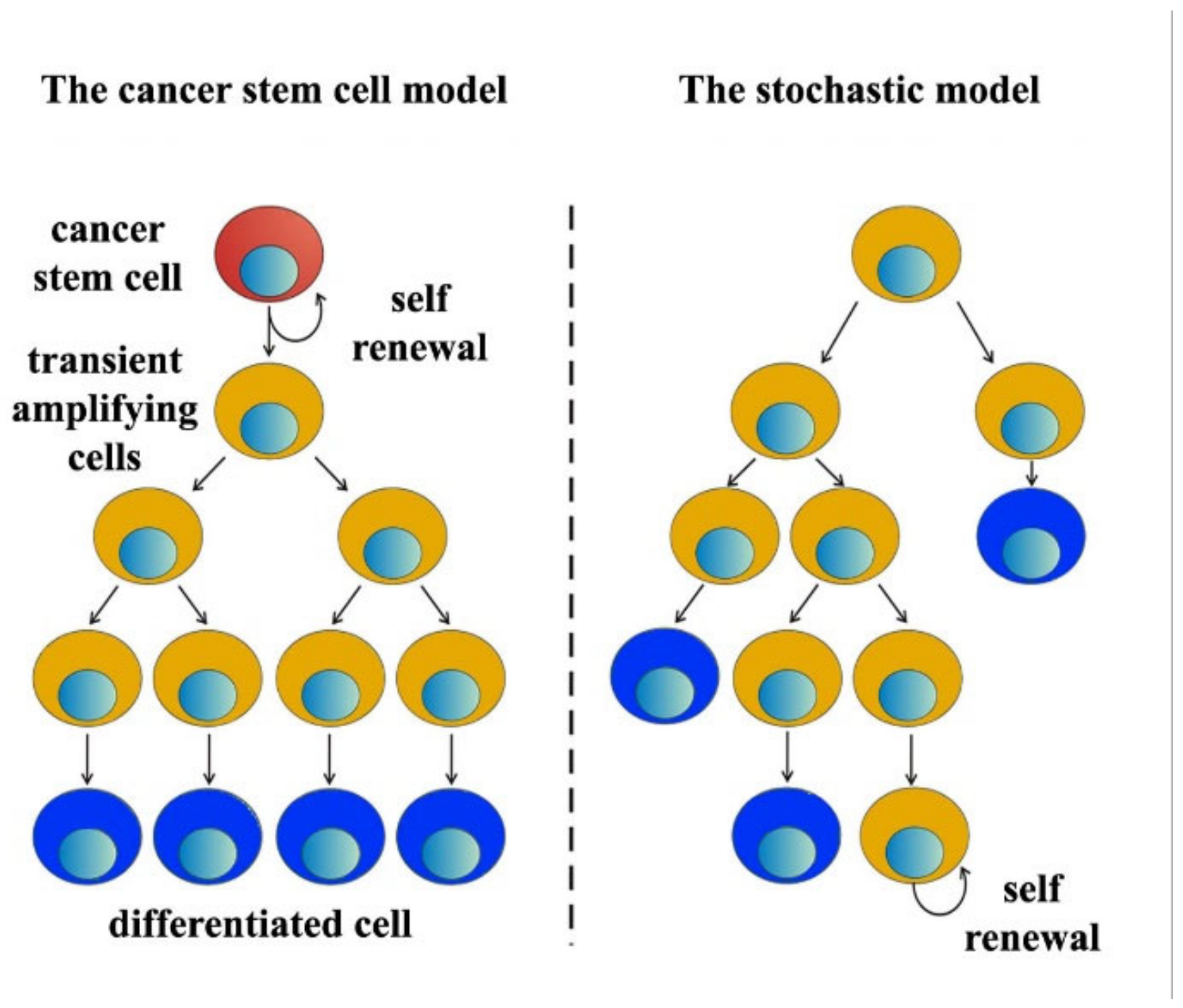 Applsci 12 12738 g002