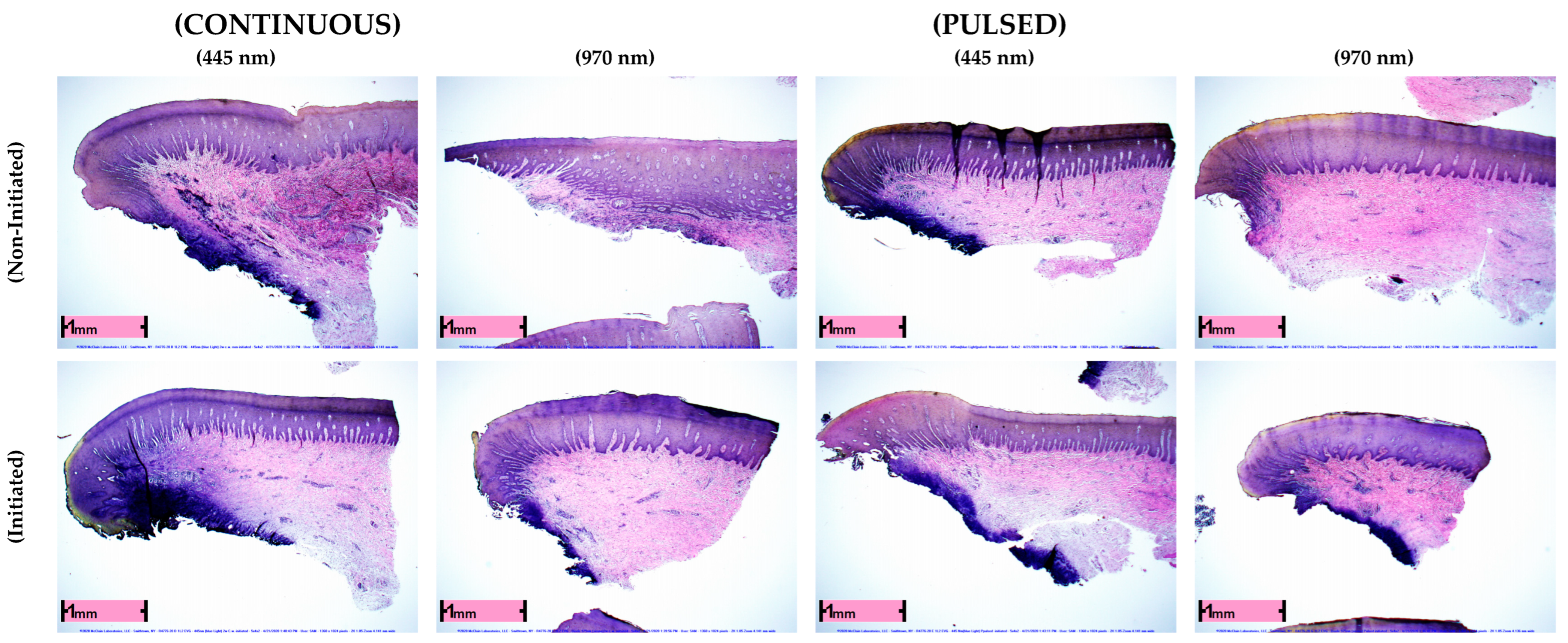 Applsci 12 12771 g001 Applsci 12 12771 g001