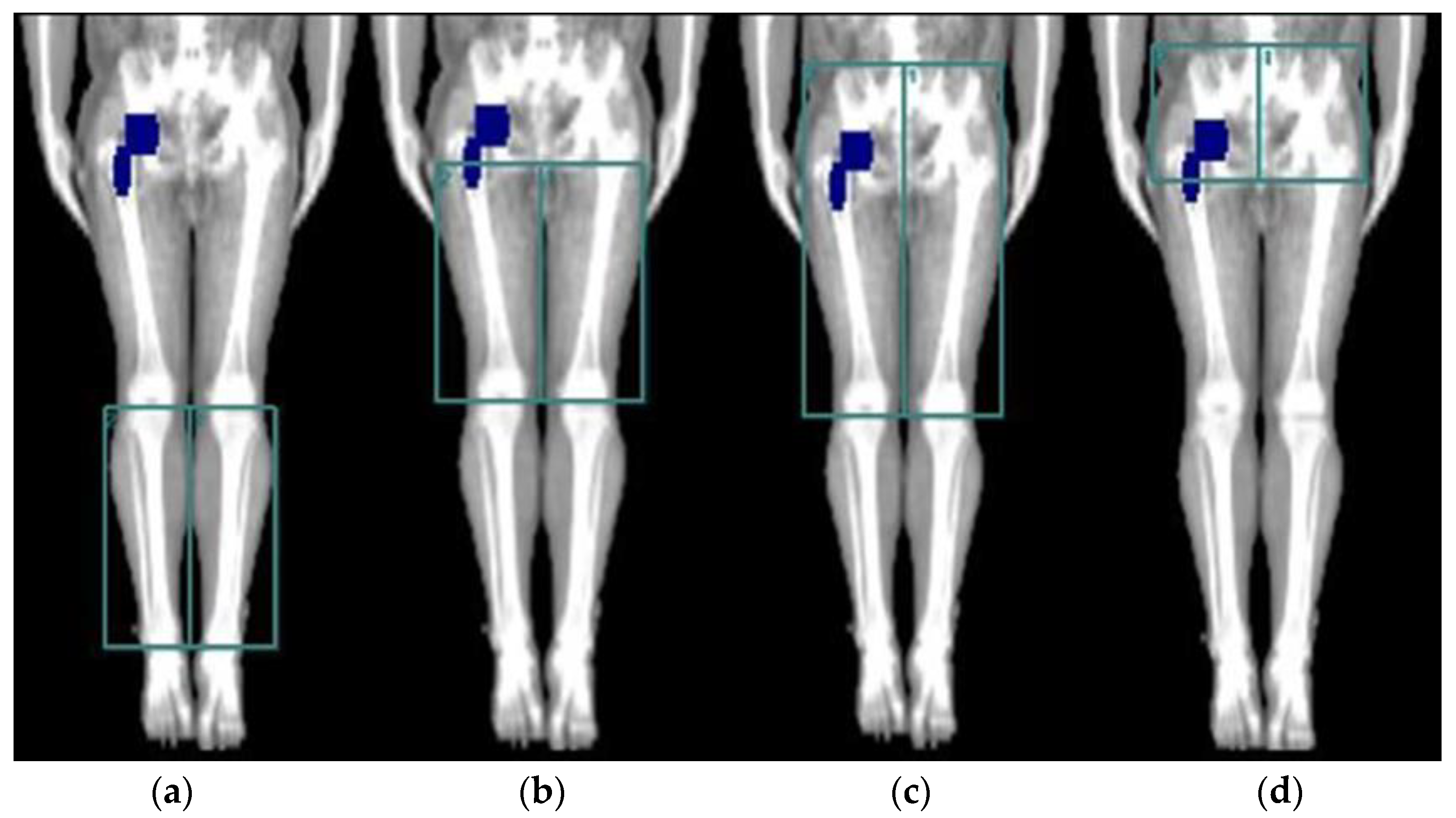 Applsci 12 12772 g002 Applsci 12 12772 g002