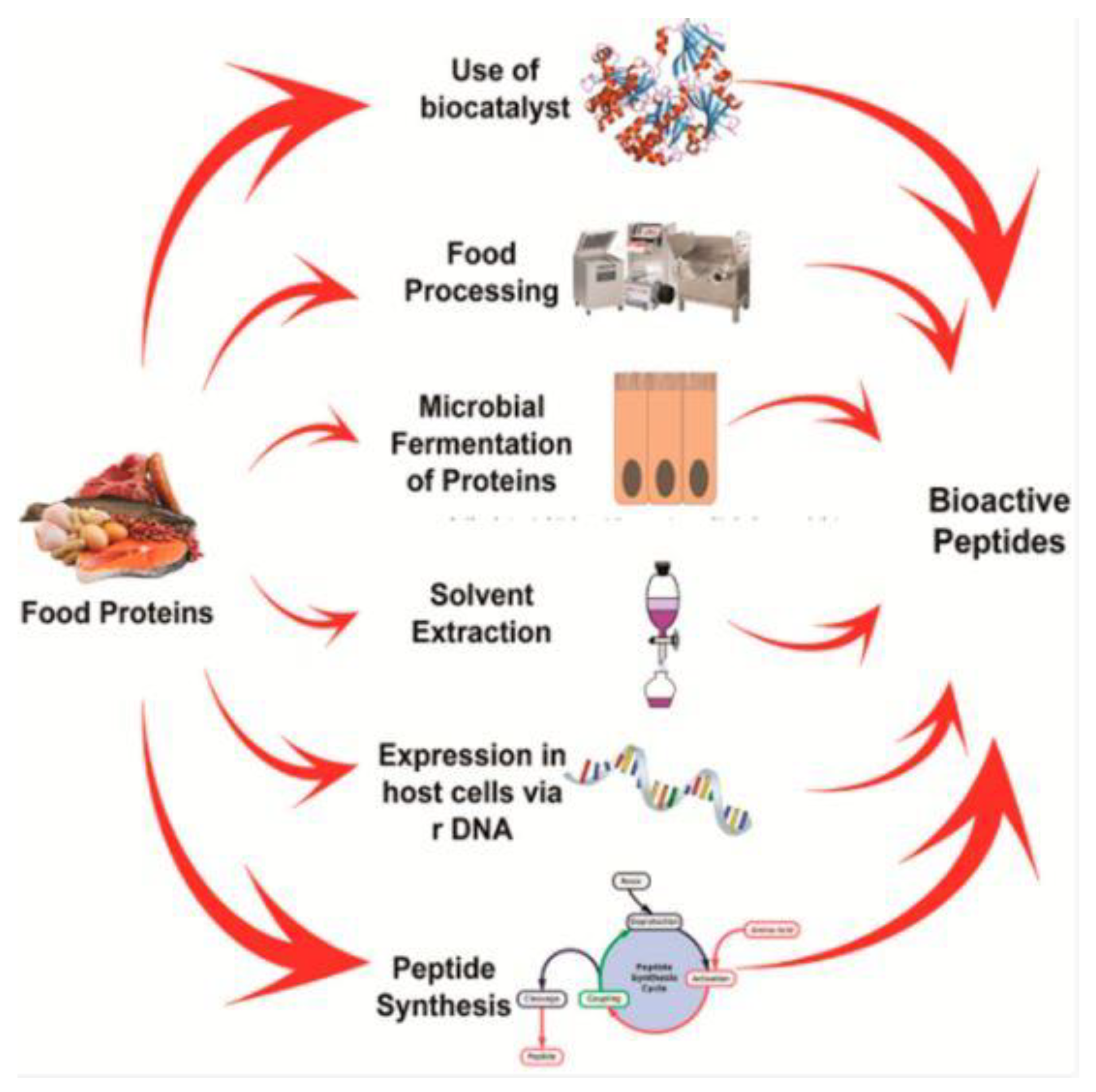 Applsci 12 12777 g001 Applsci 12 12777 g001