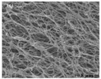 Applsci 12 12846 i003 Applsci 12 12846 i003