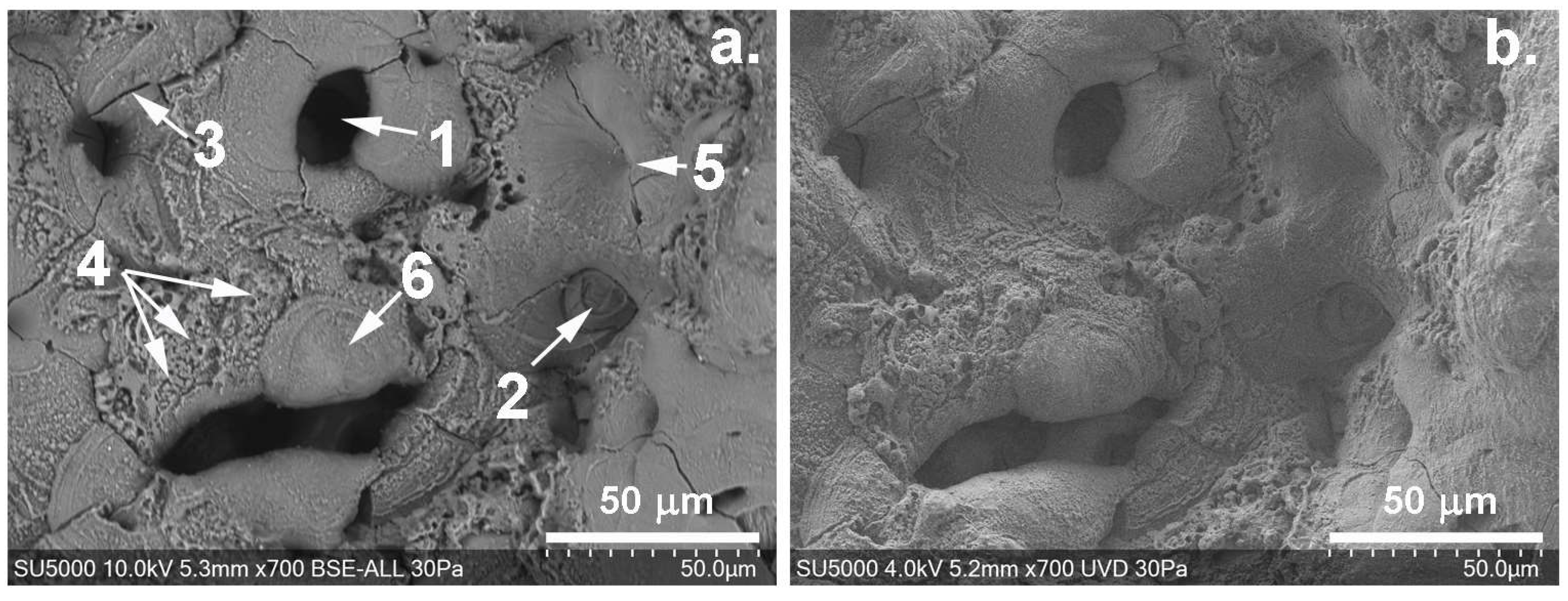 Applsci 12 12848 g002 Applsci 12 12848 g002