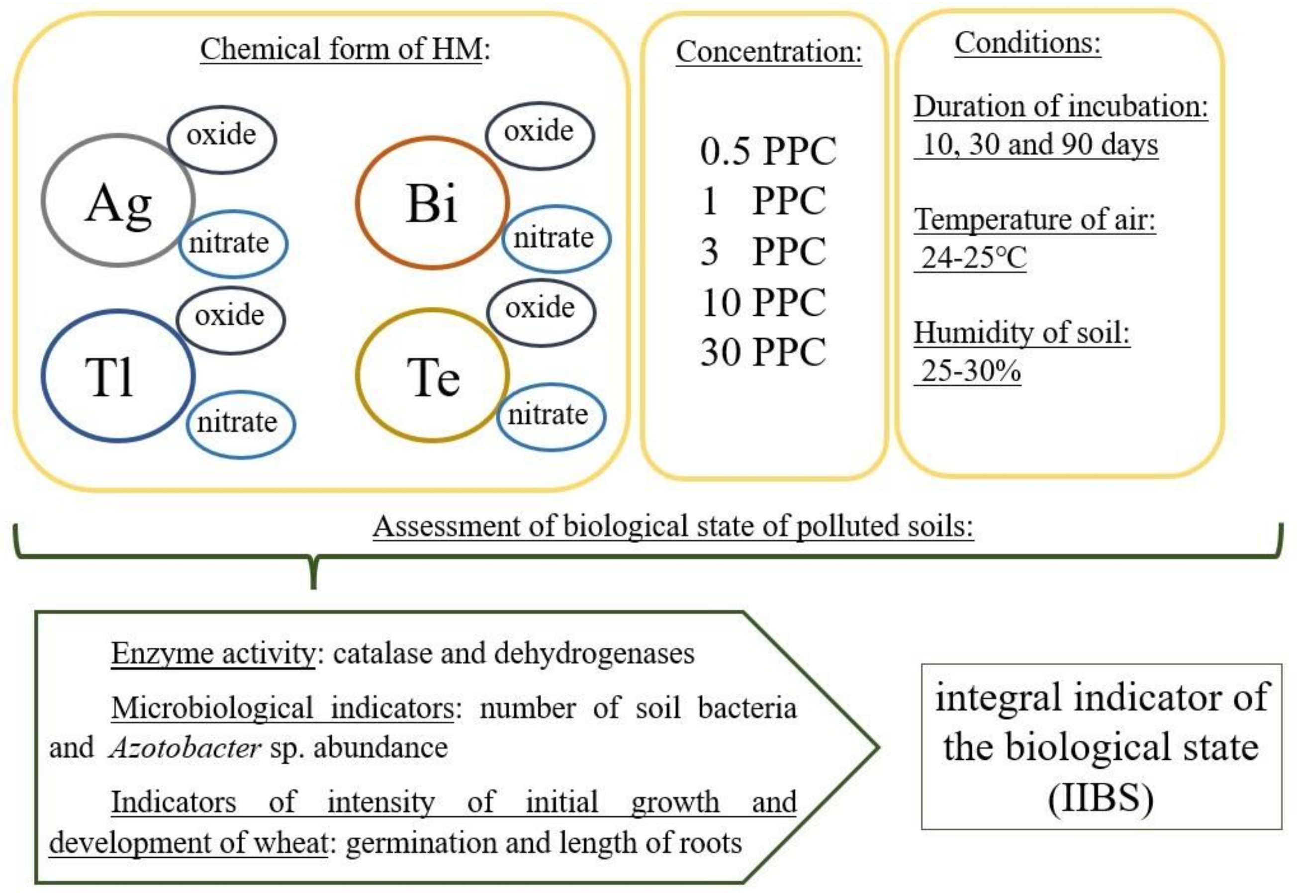 Applsci 12 12854 g001 Applsci 12 12854 g001