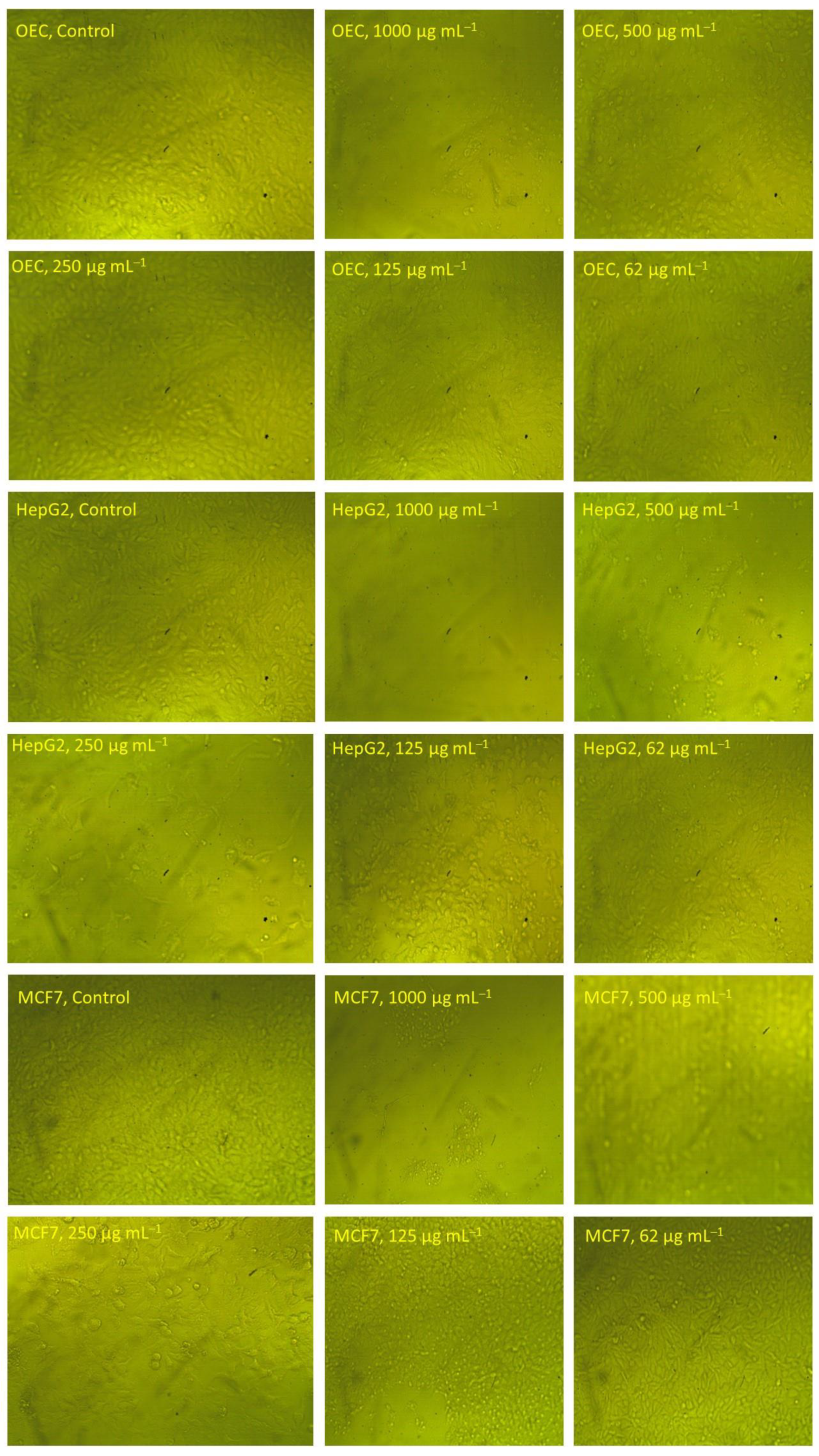 Applsci 12 12879 g008 Applsci 12 12879 g008