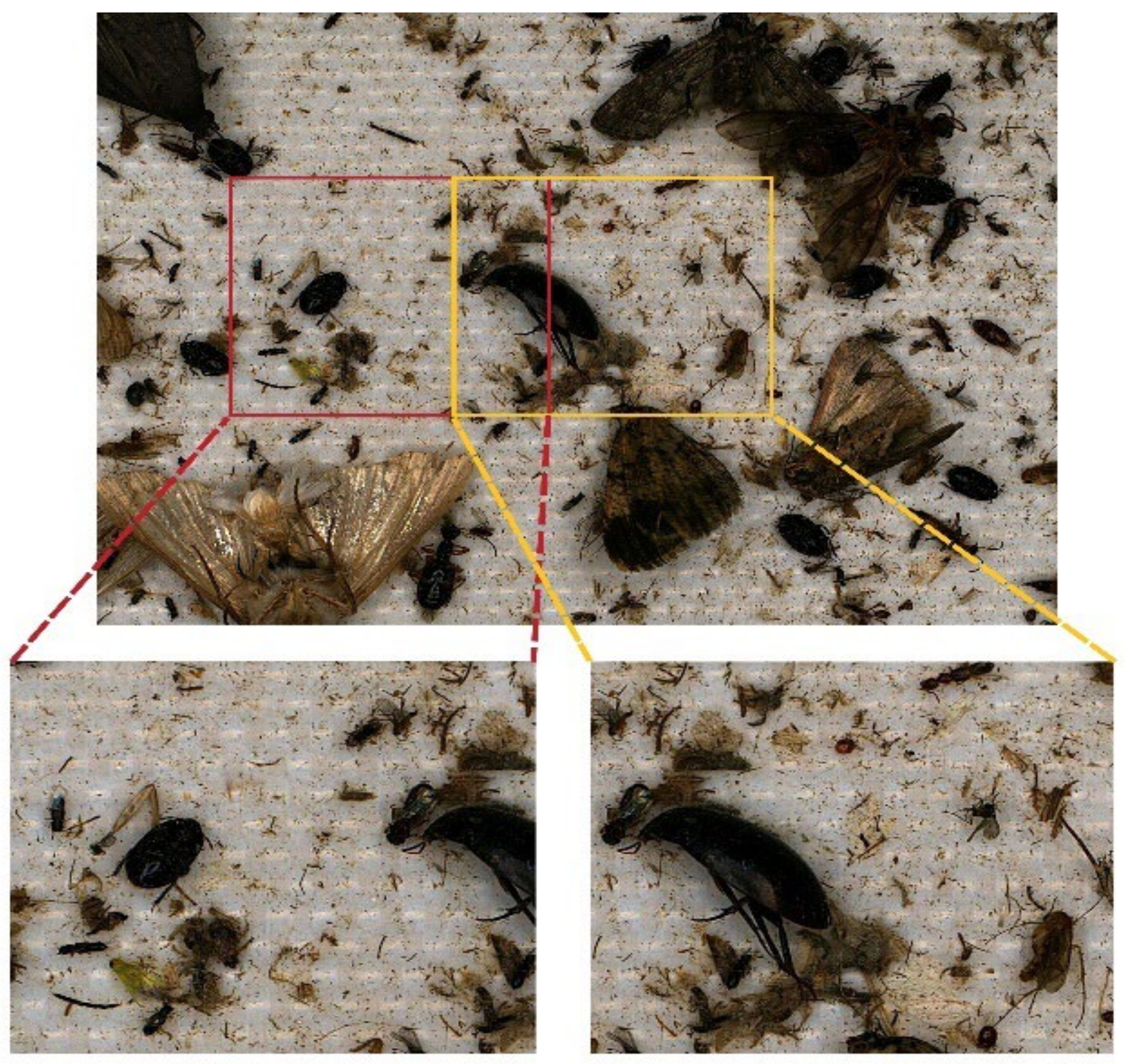 Applsci 12 12896 g004 Applsci 12 12896 g004