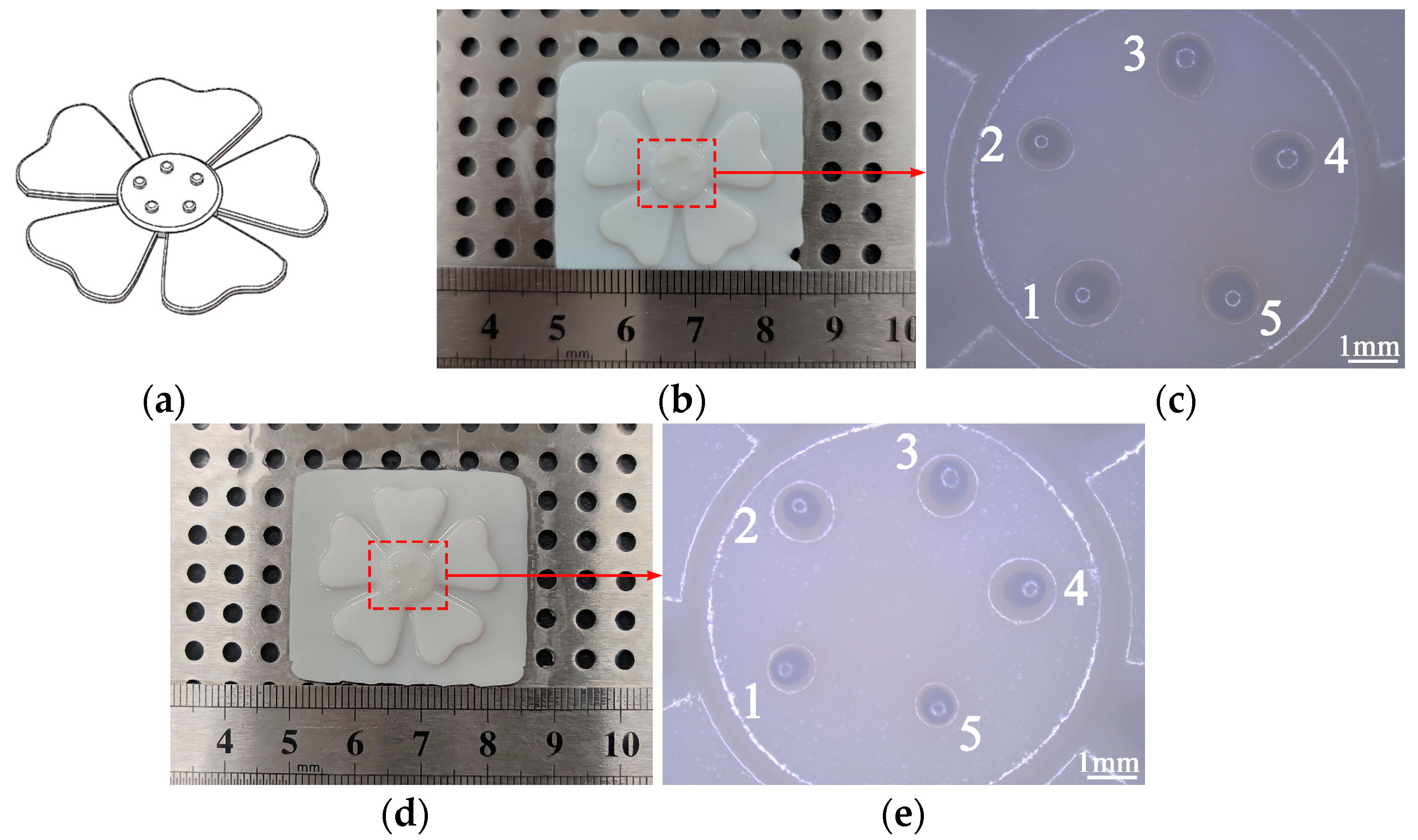 Applsci 12 12905 g011 Applsci 12 12905 g011
