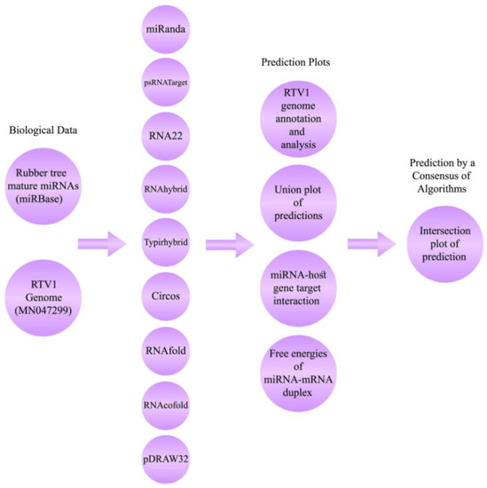 Computational Biology and Machine Learning Approaches Identify 