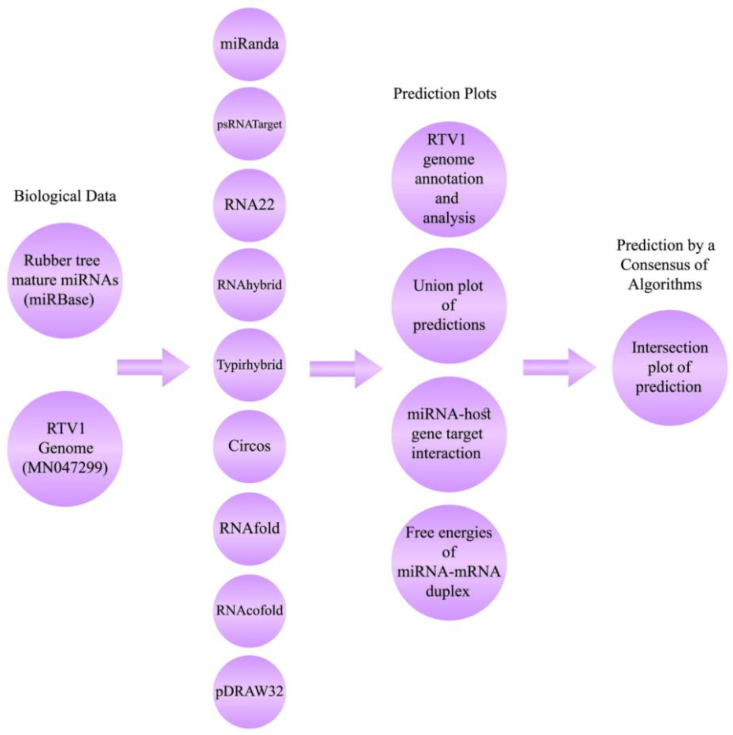 Applsci 12 12908 g001 Applsci 12 12908 g001