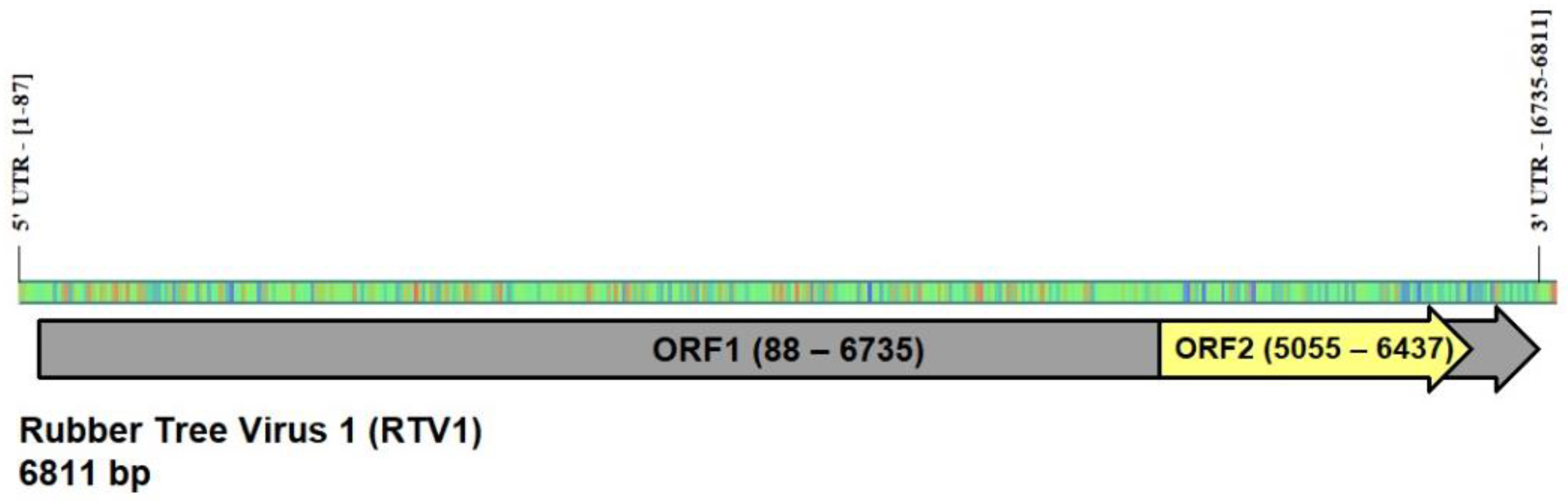 Applsci 12 12908 g002 Applsci 12 12908 g002