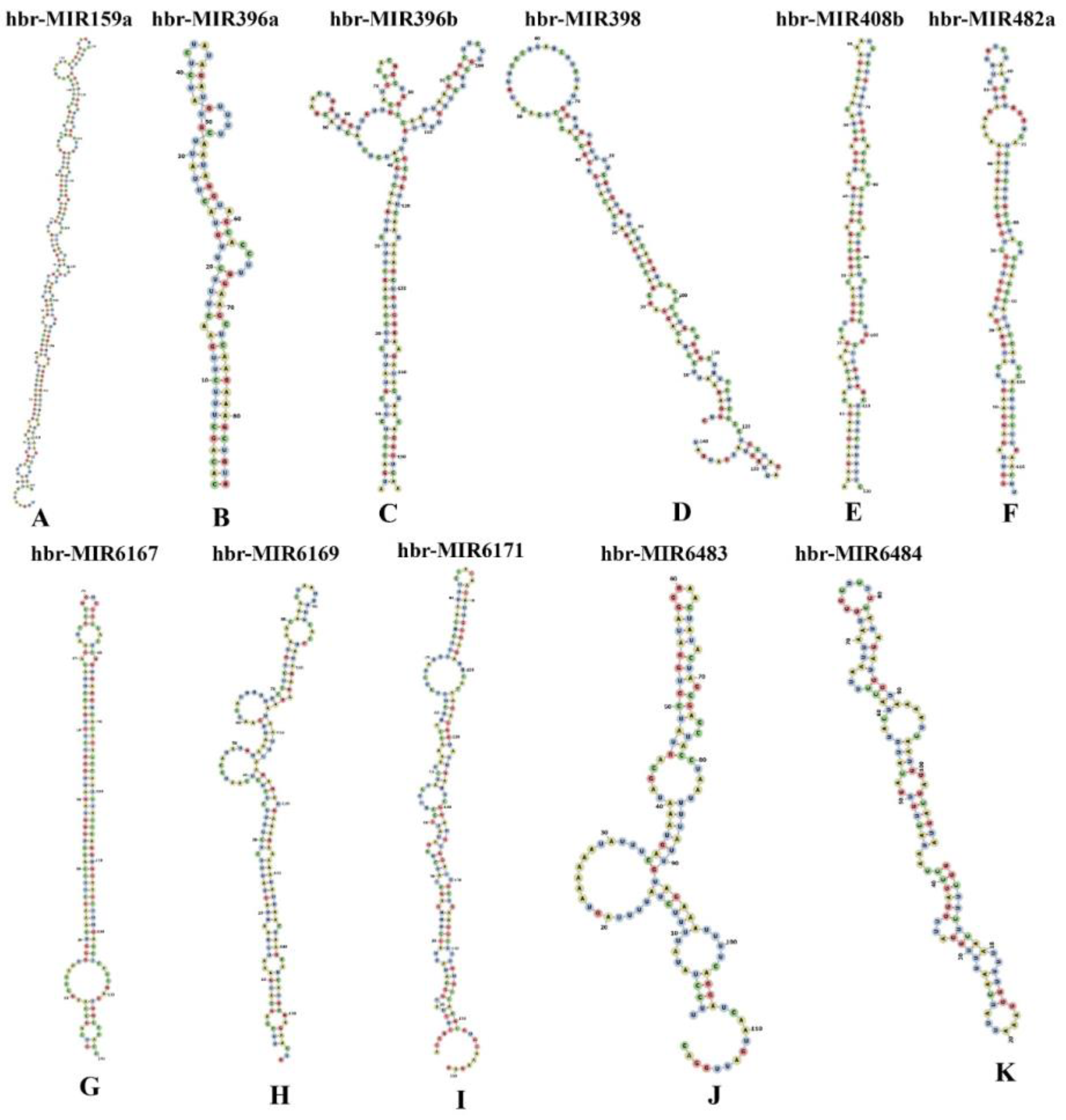 Applsci 12 12908 g007 Applsci 12 12908 g007