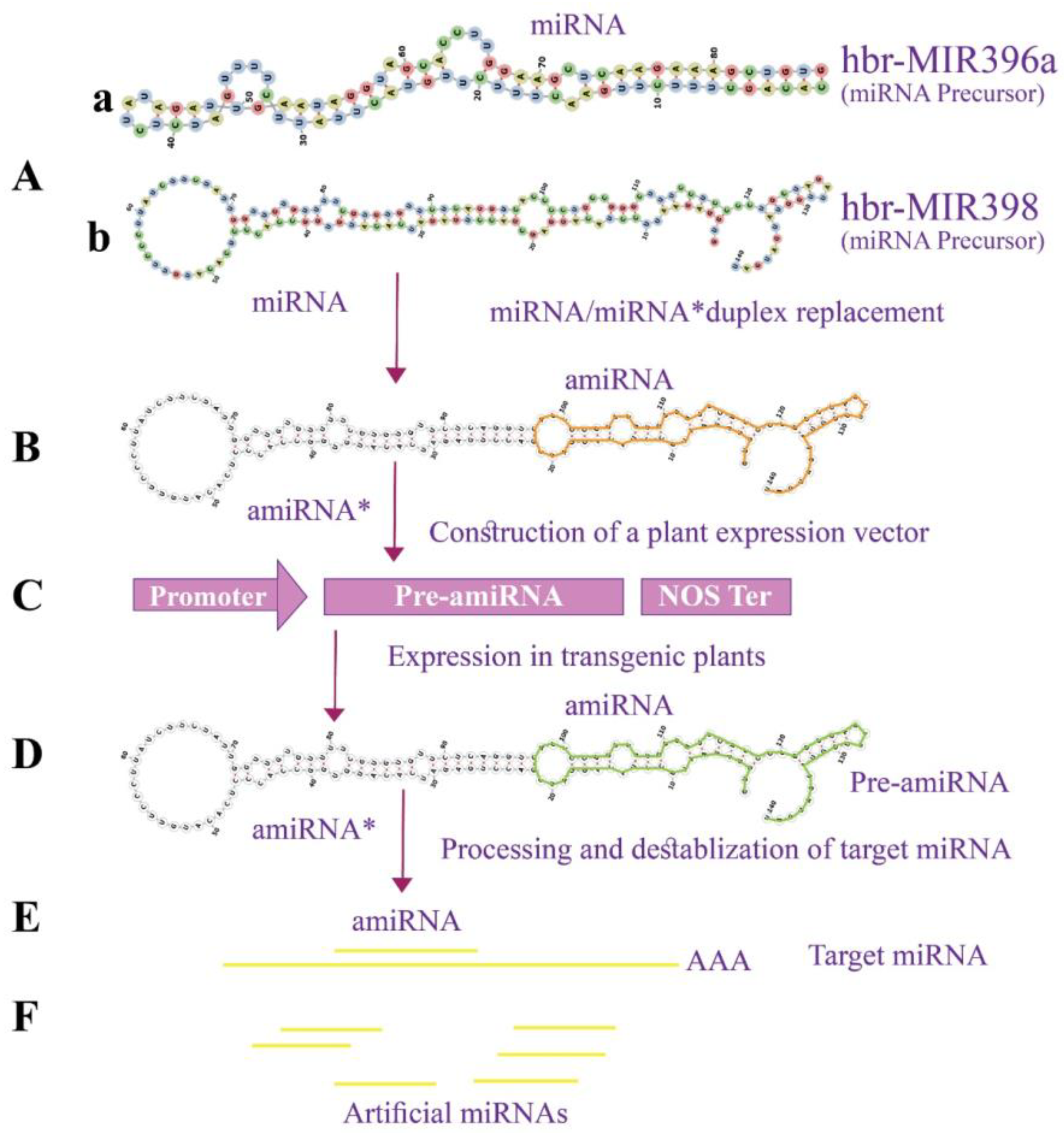 Applsci 12 12908 g008 Applsci 12 12908 g008