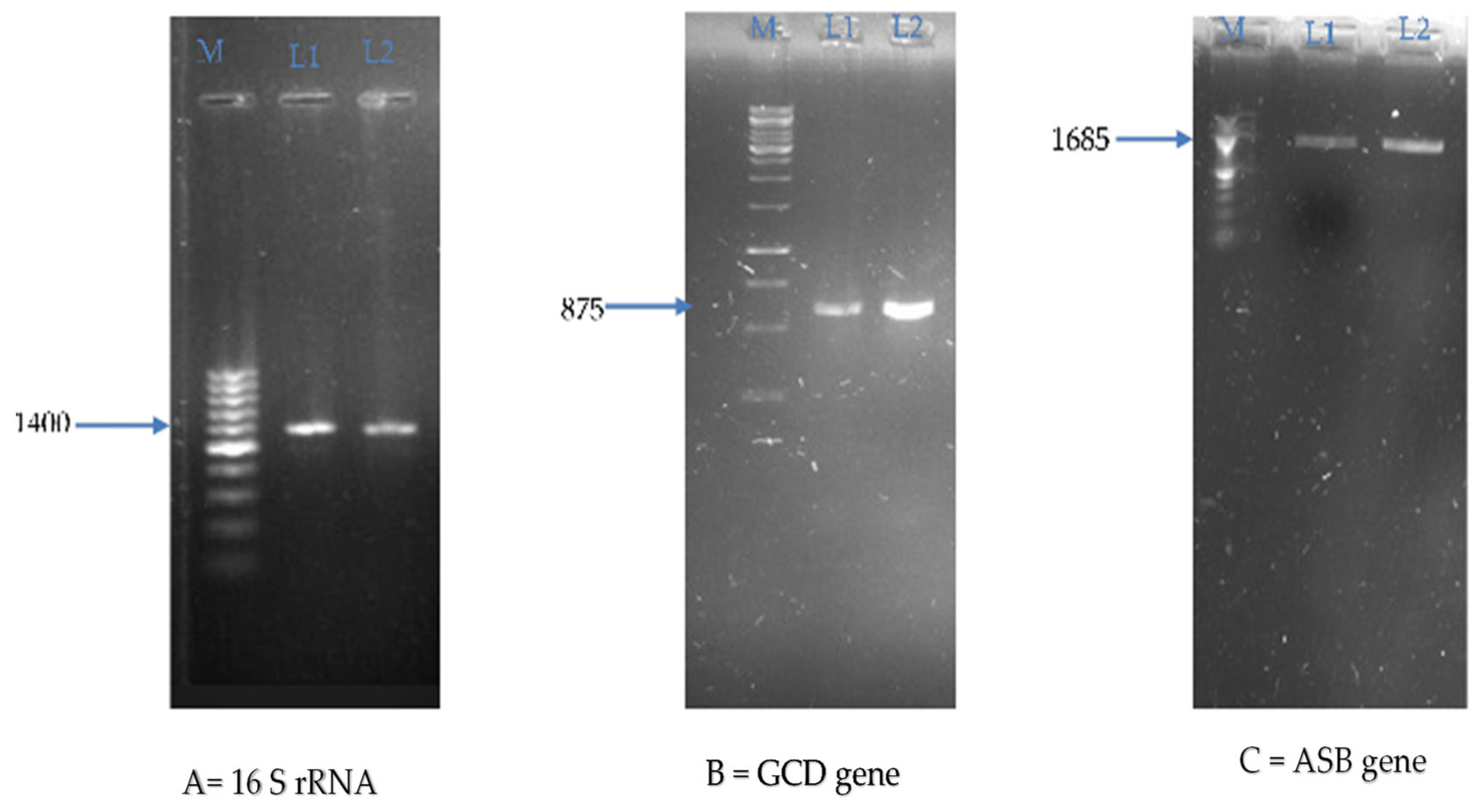 Applsci 12 12953 g001 Applsci 12 12953 g001