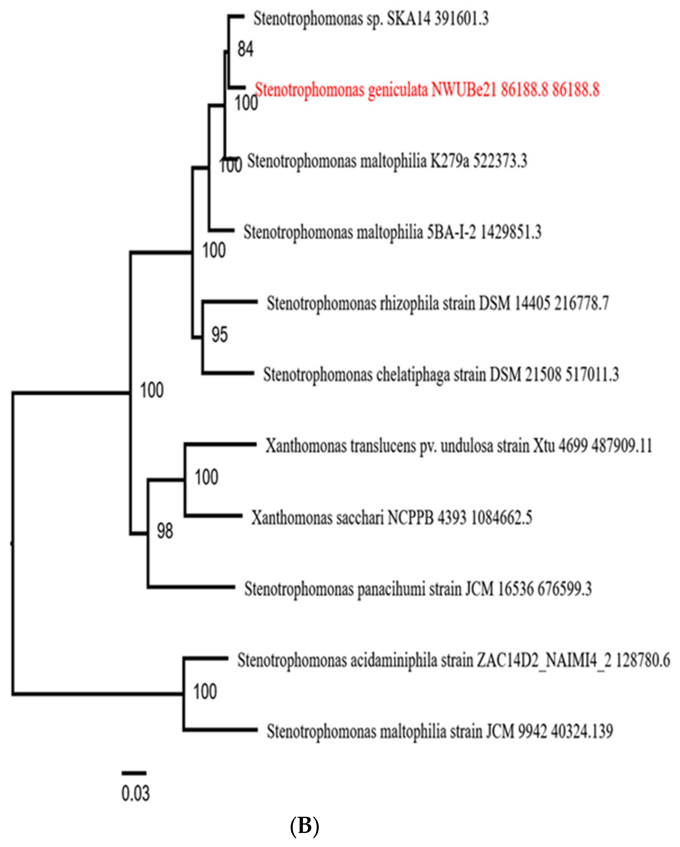 Applsci 12 12953 g002b Applsci 12 12953 g002b