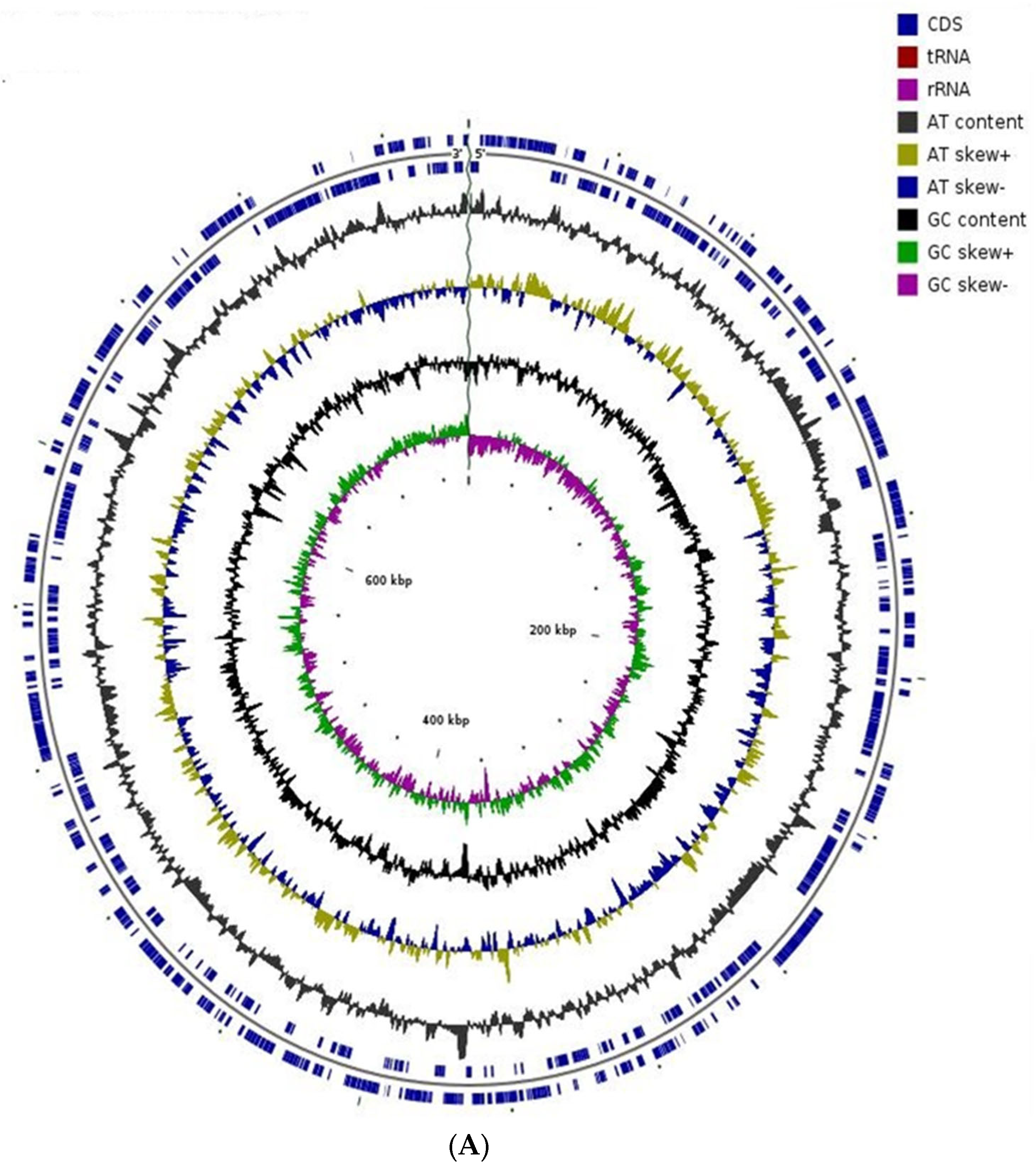 Applsci 12 12953 g003a Applsci 12 12953 g003a