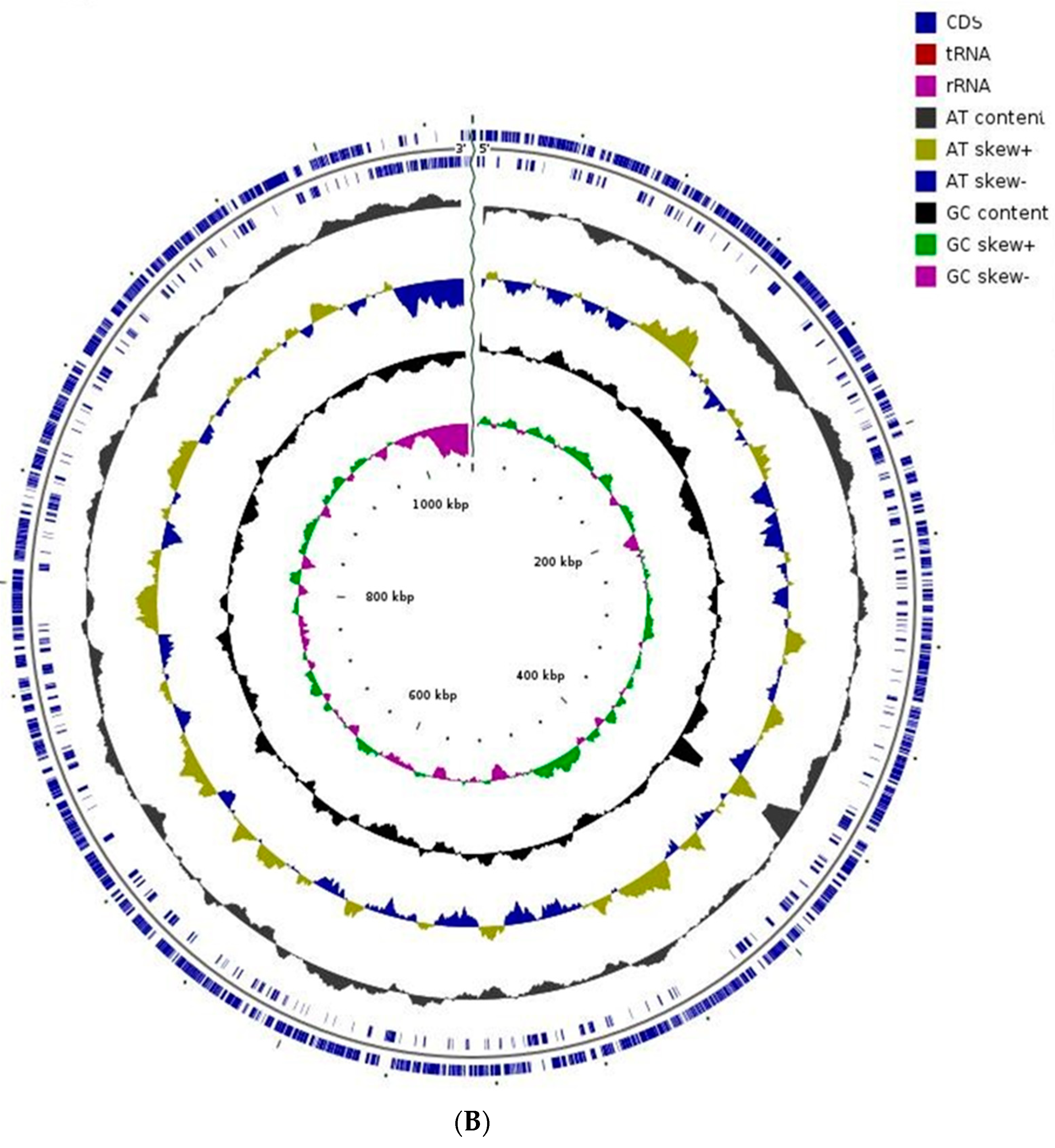 Applsci 12 12953 g003b Applsci 12 12953 g003b