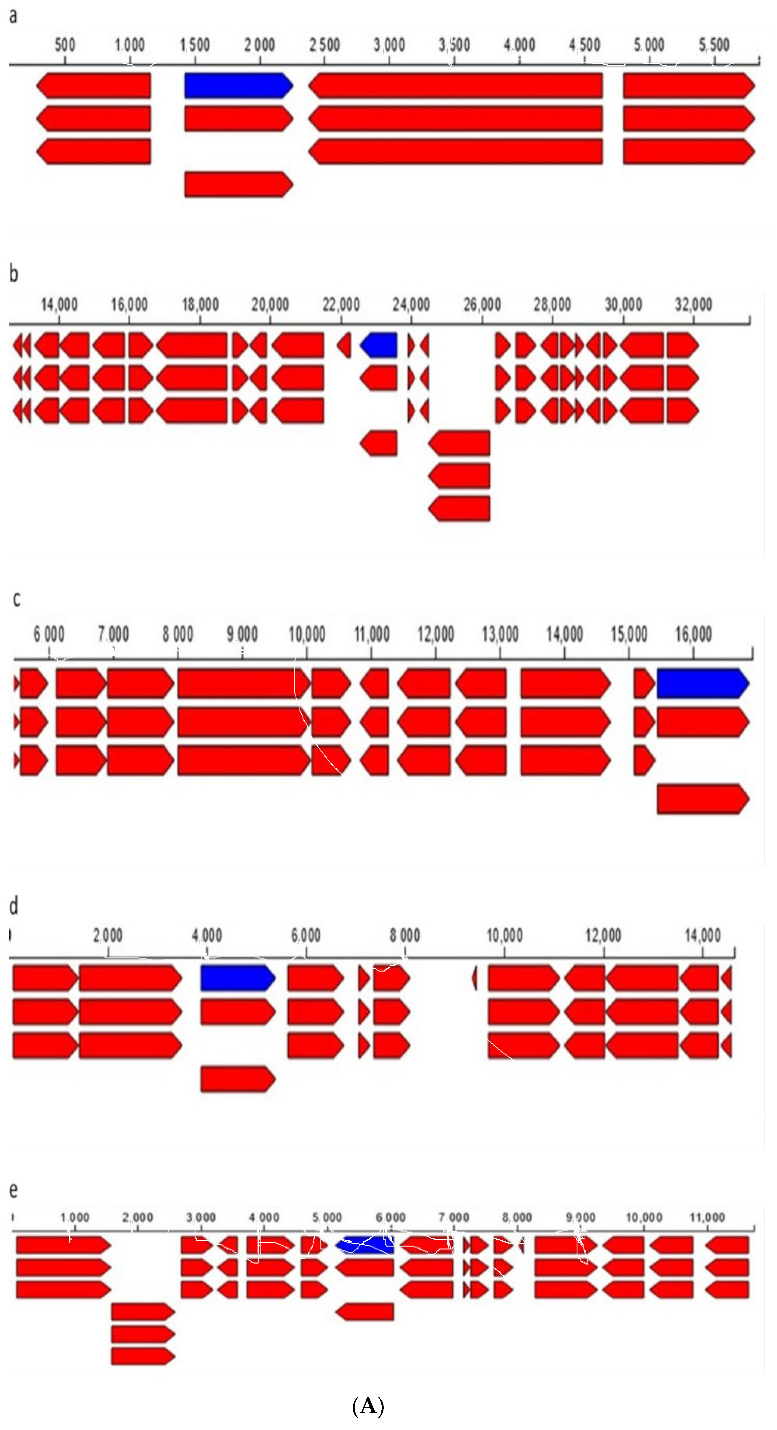 Applsci 12 12953 g004a Applsci 12 12953 g004a