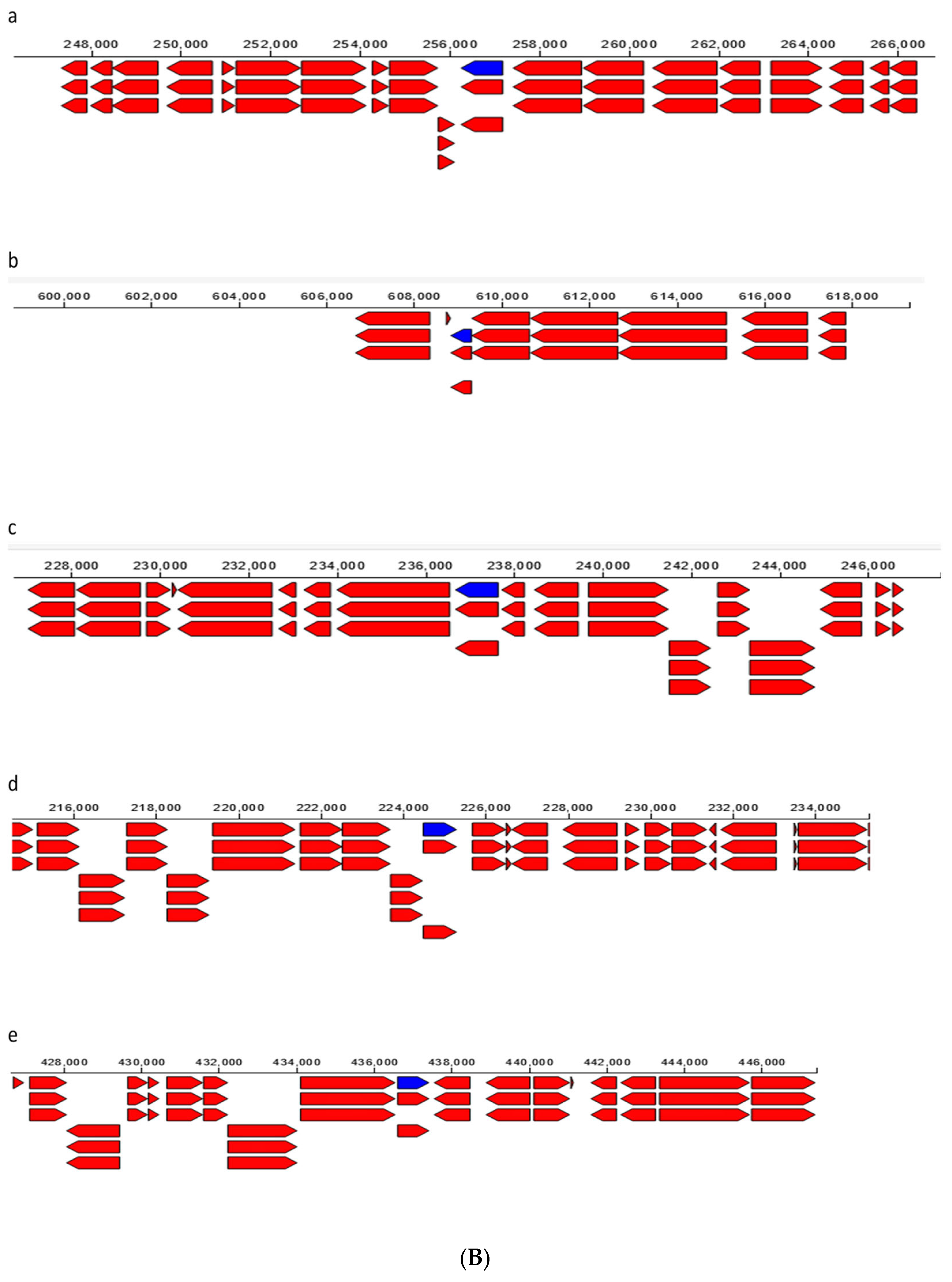 Applsci 12 12953 g004b Applsci 12 12953 g004b