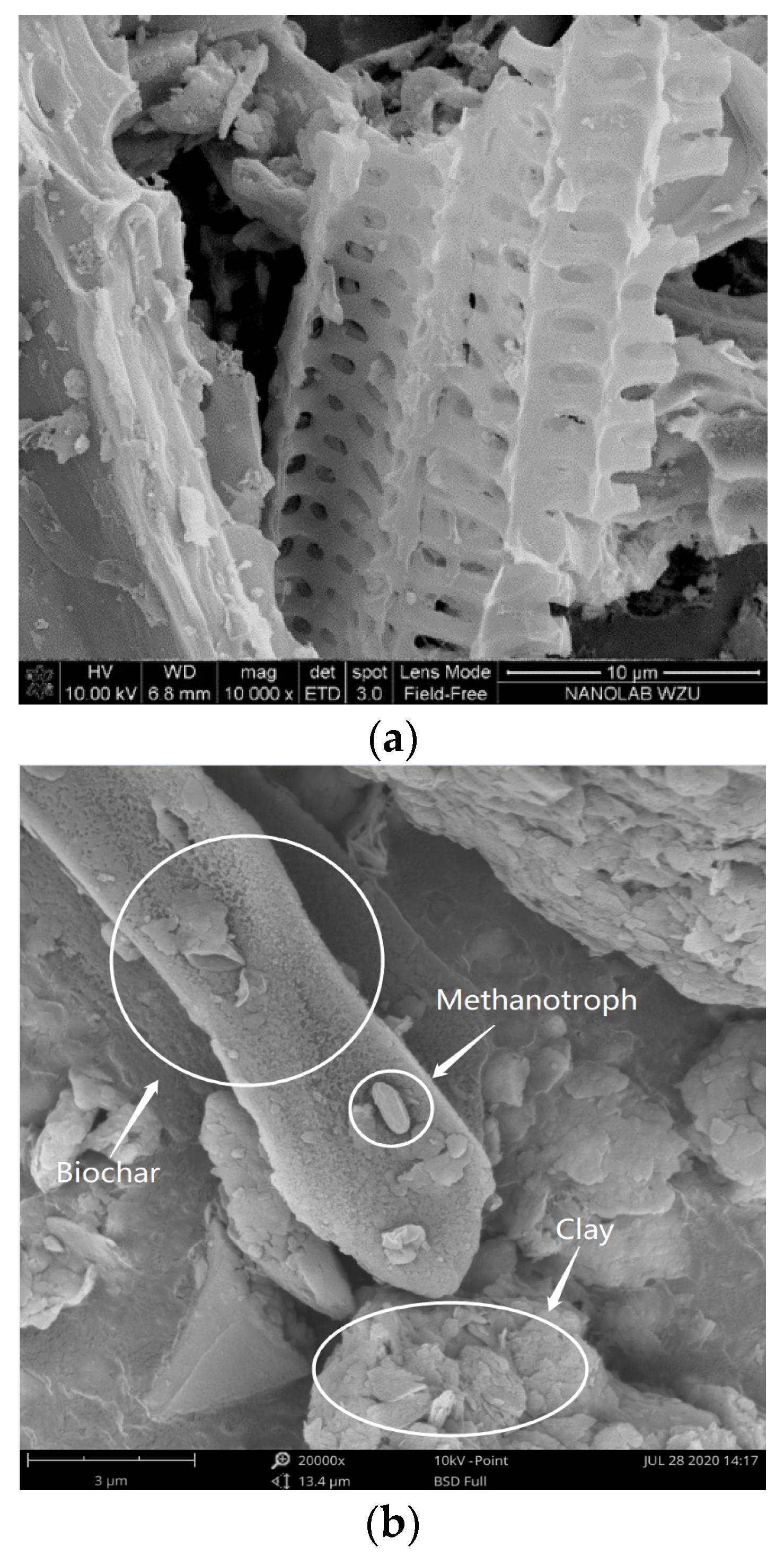 Applsci 12 12954 g002 Applsci 12 12954 g002