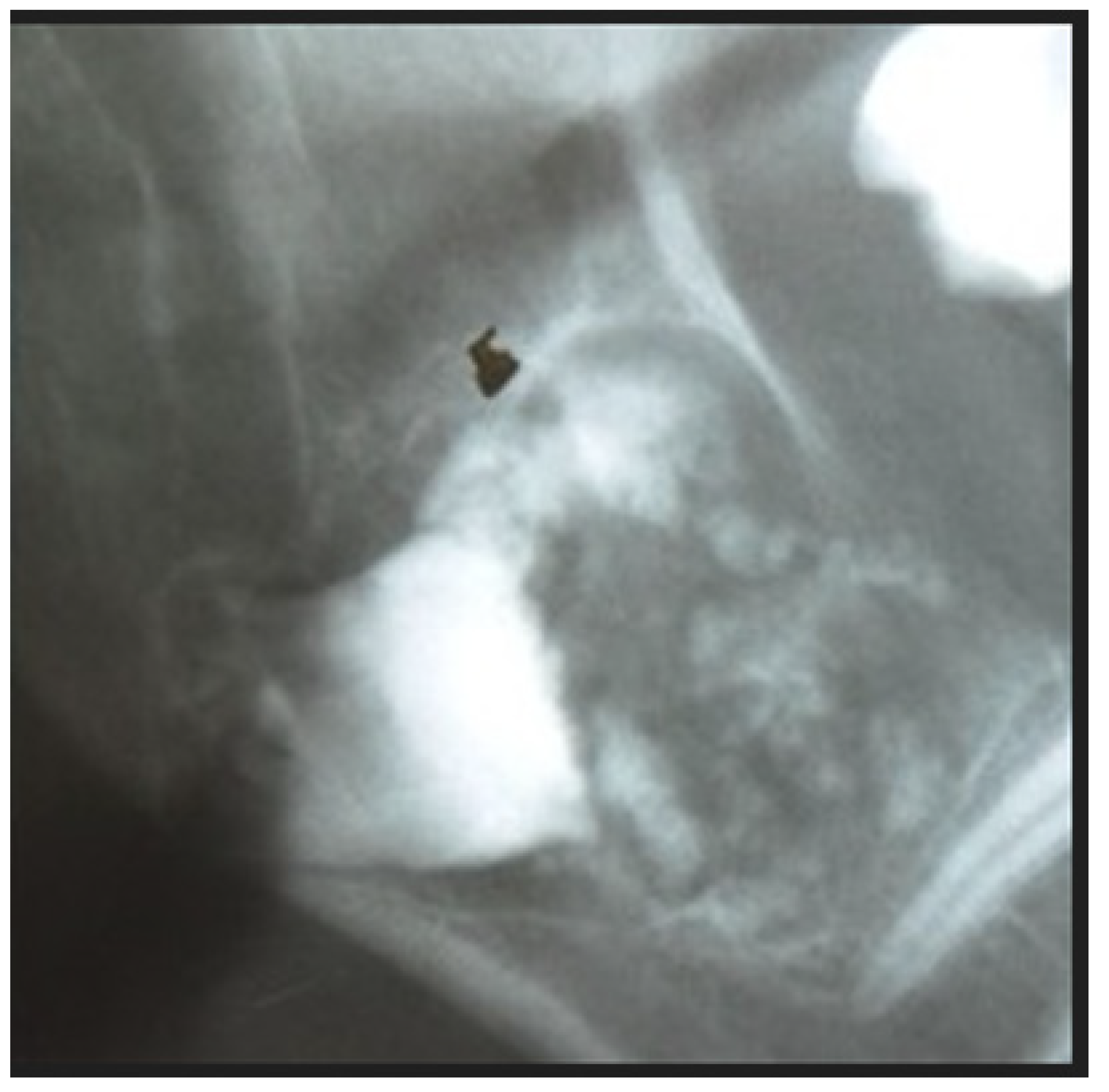 Applsci 12 12963 g002 Applsci 12 12963 g002