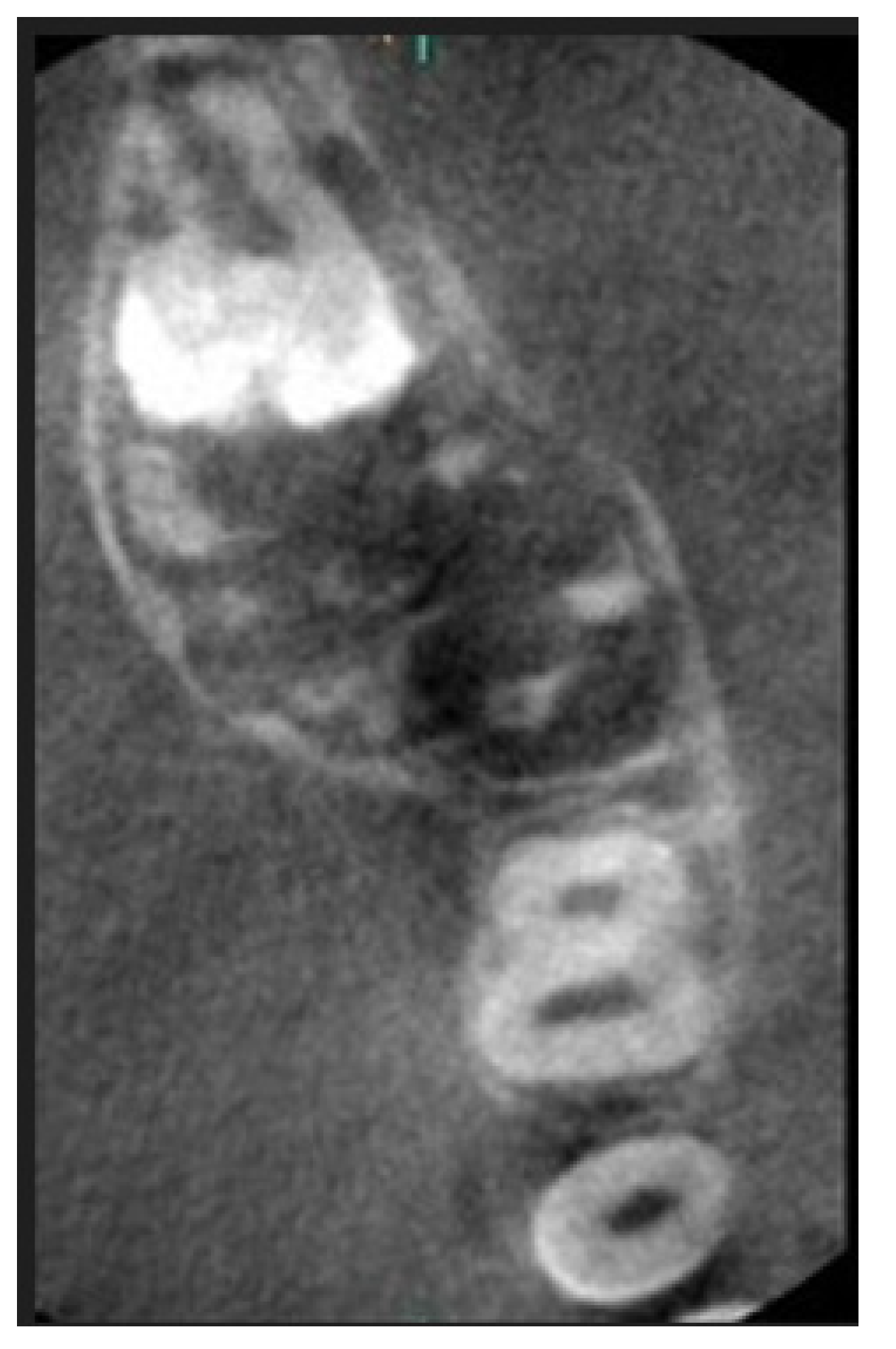 Applsci 12 12963 g003 Applsci 12 12963 g003