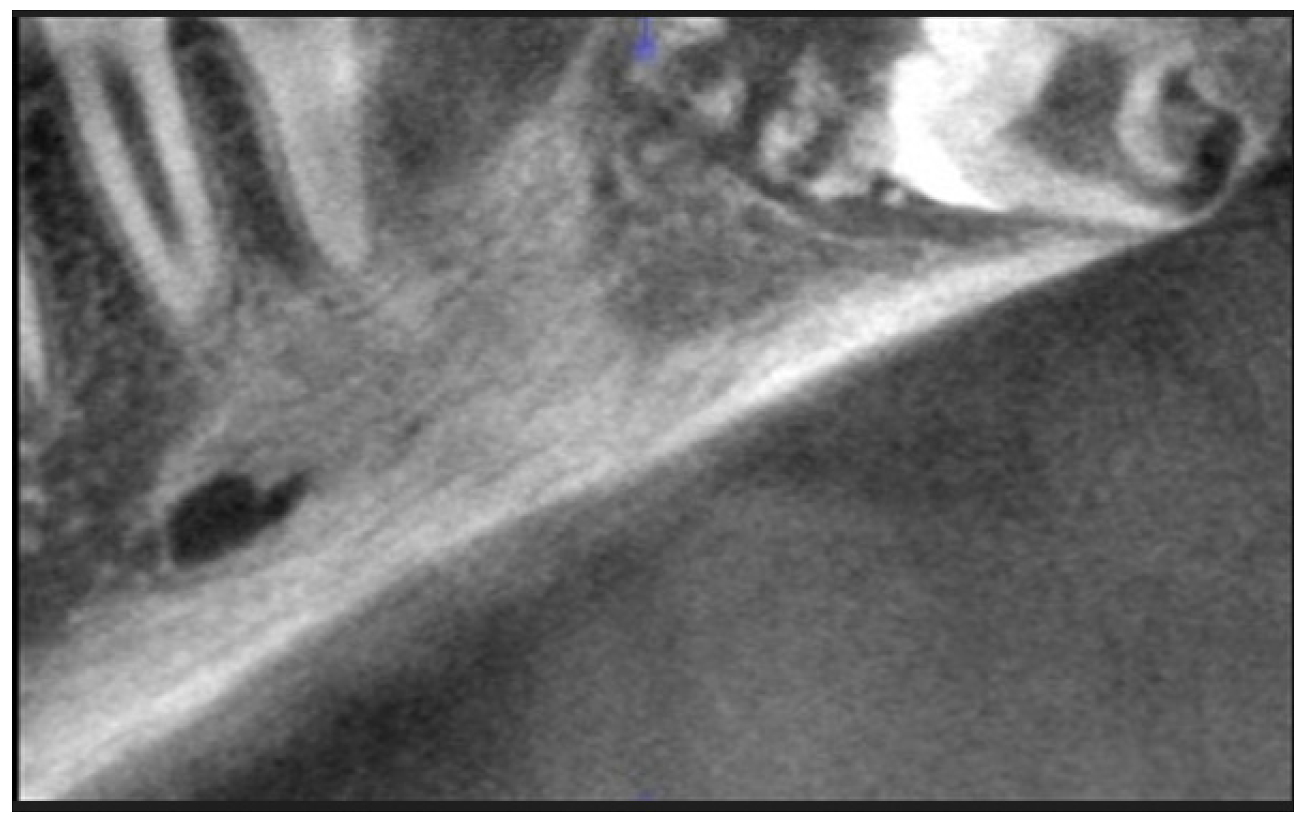 Applsci 12 12963 g004 Applsci 12 12963 g004