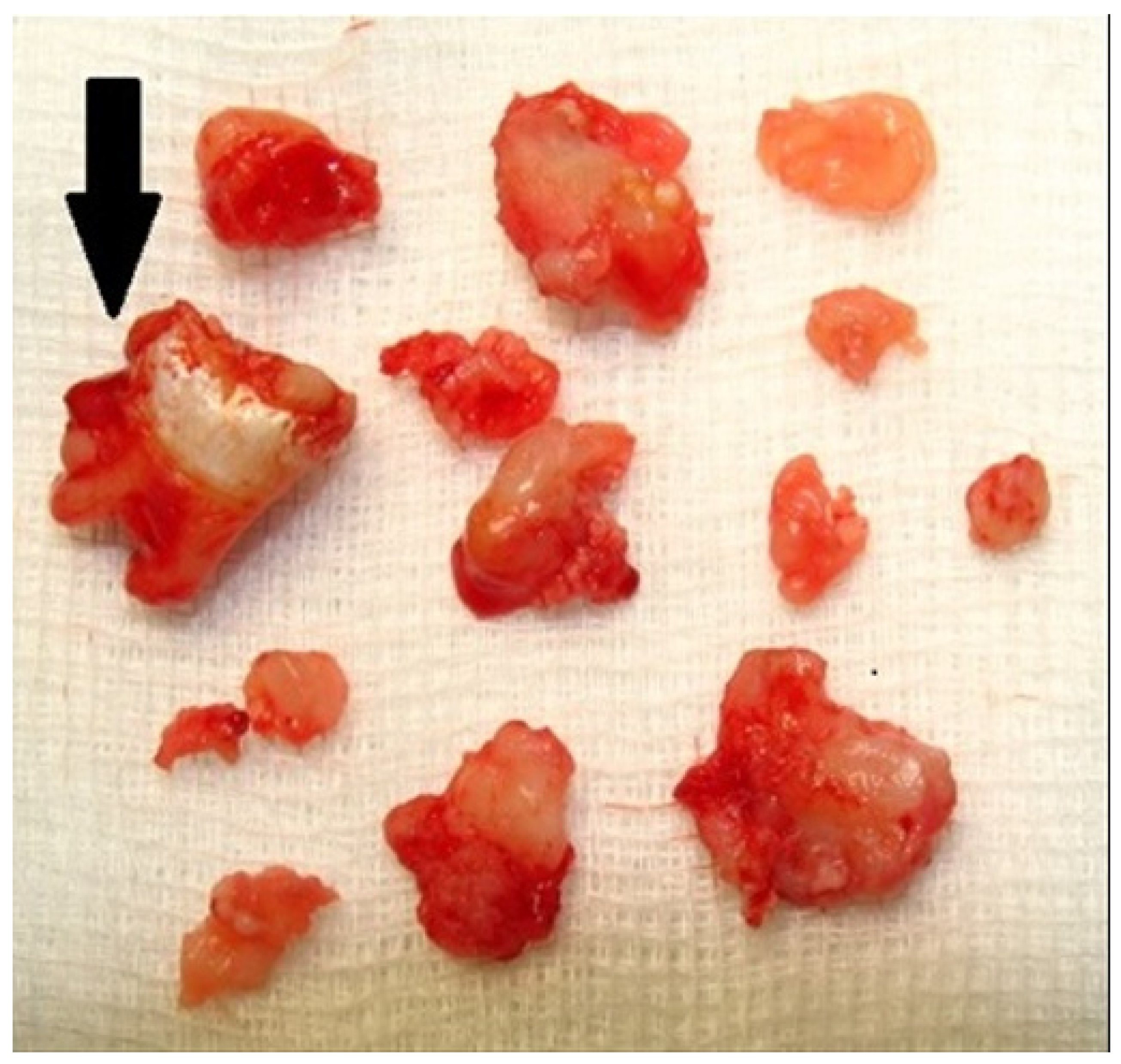 Applsci 12 12963 g006 Applsci 12 12963 g006