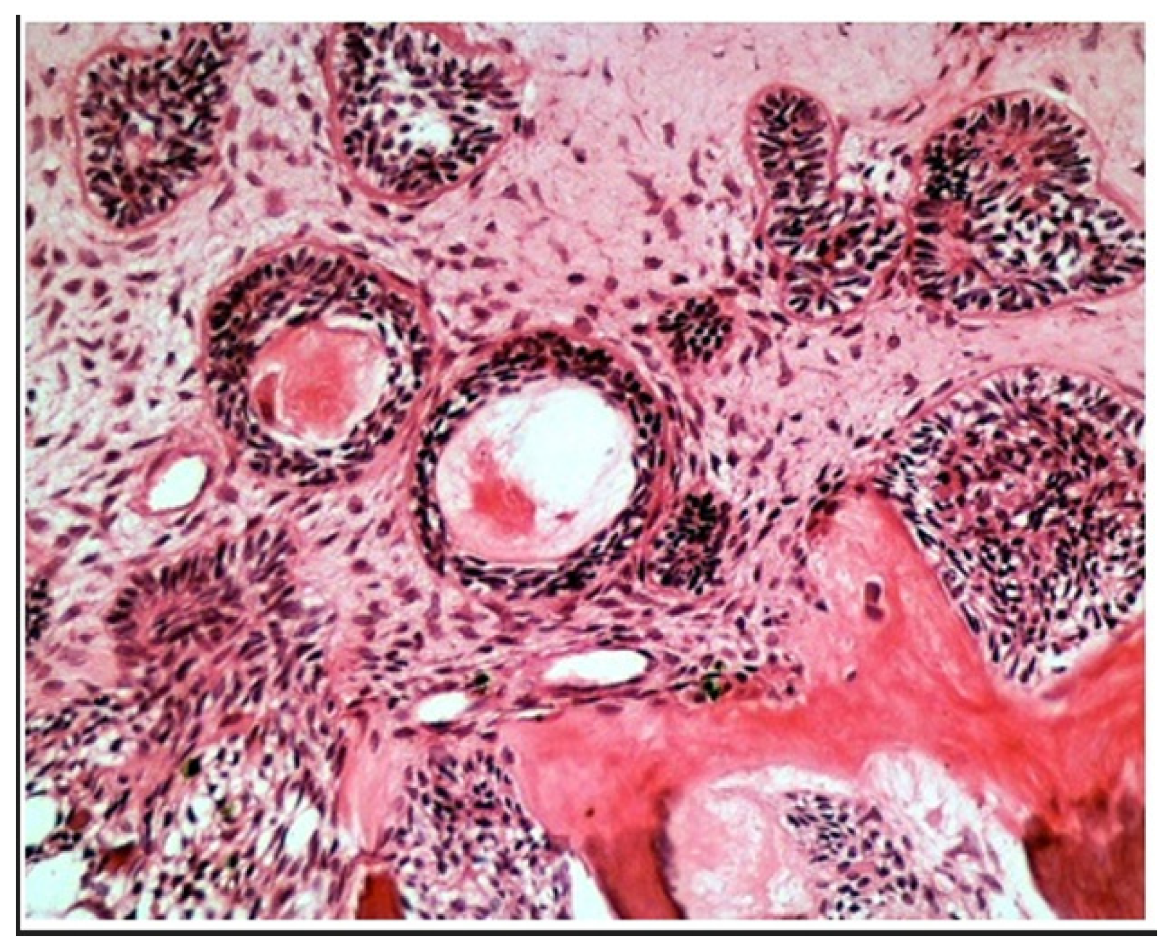 Applsci 12 12963 g007 Applsci 12 12963 g007