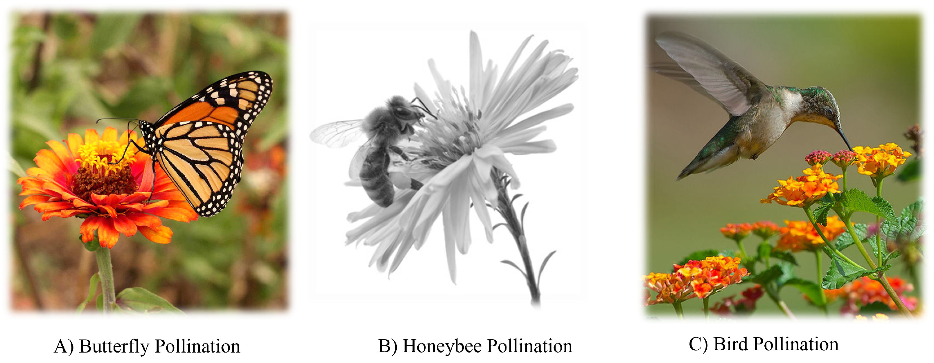 Applsci 12 12979 g002