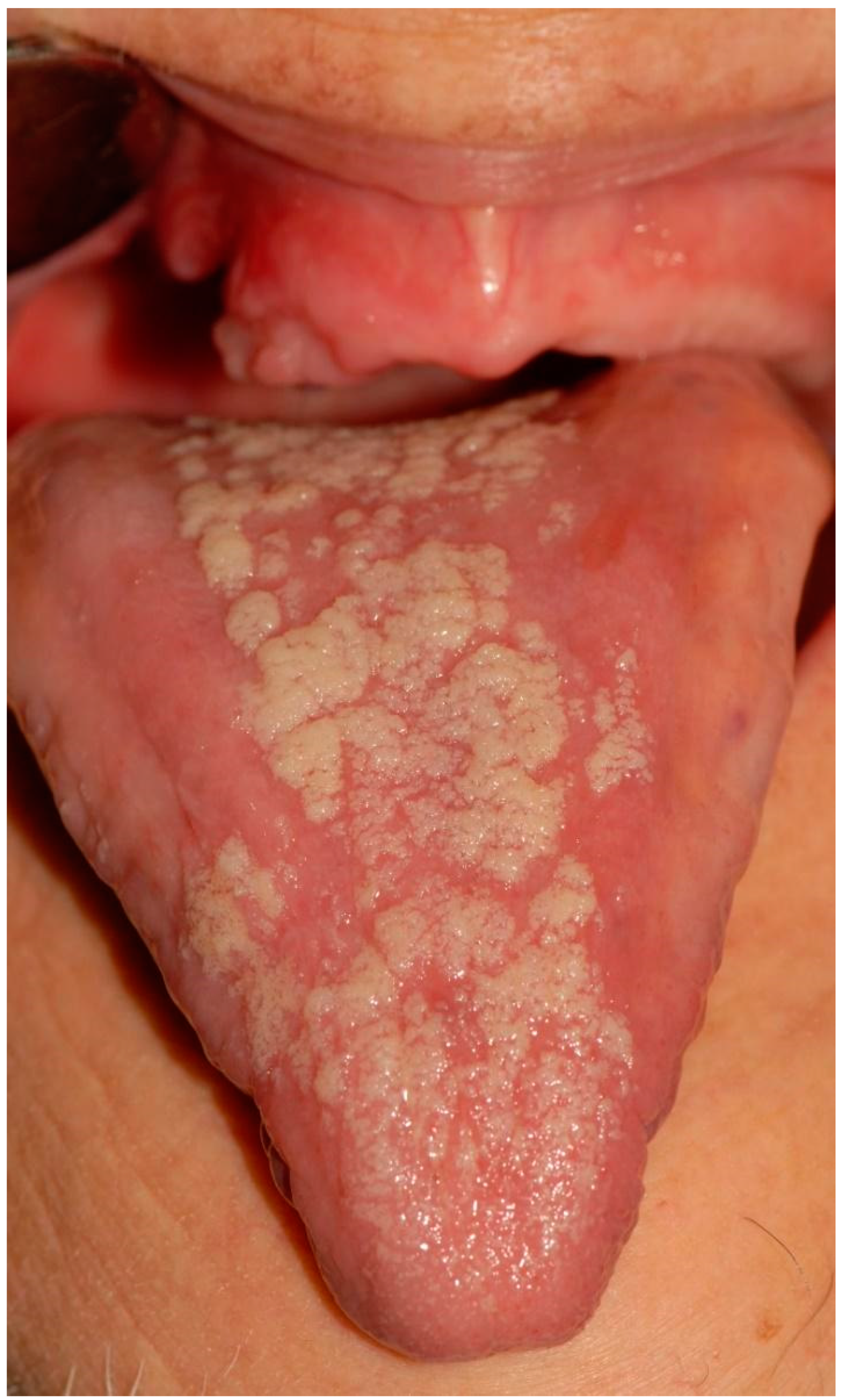 Applsci 12 12994 g001 Applsci 12 12994 g001